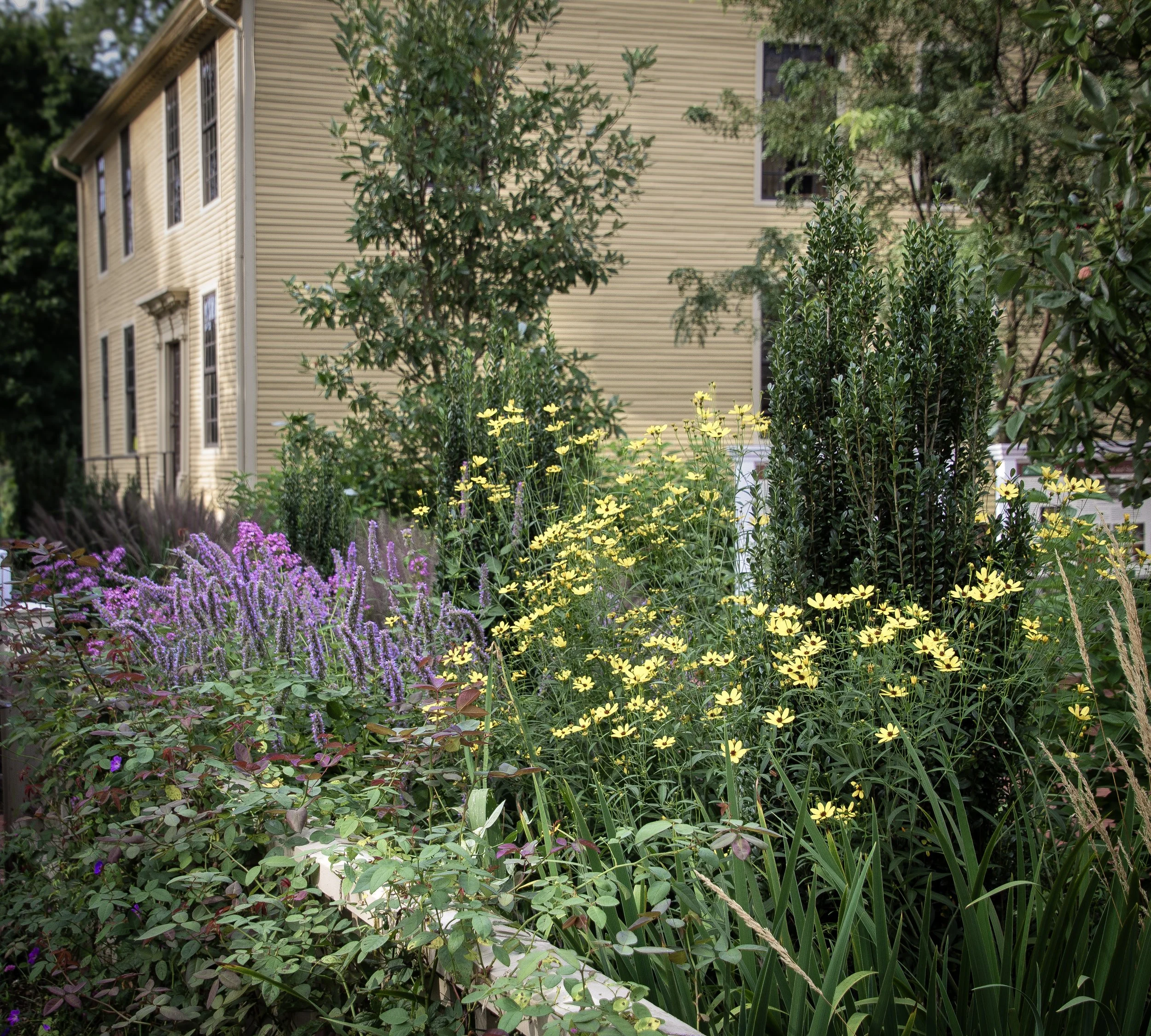 Webb Deane Stevens Museum