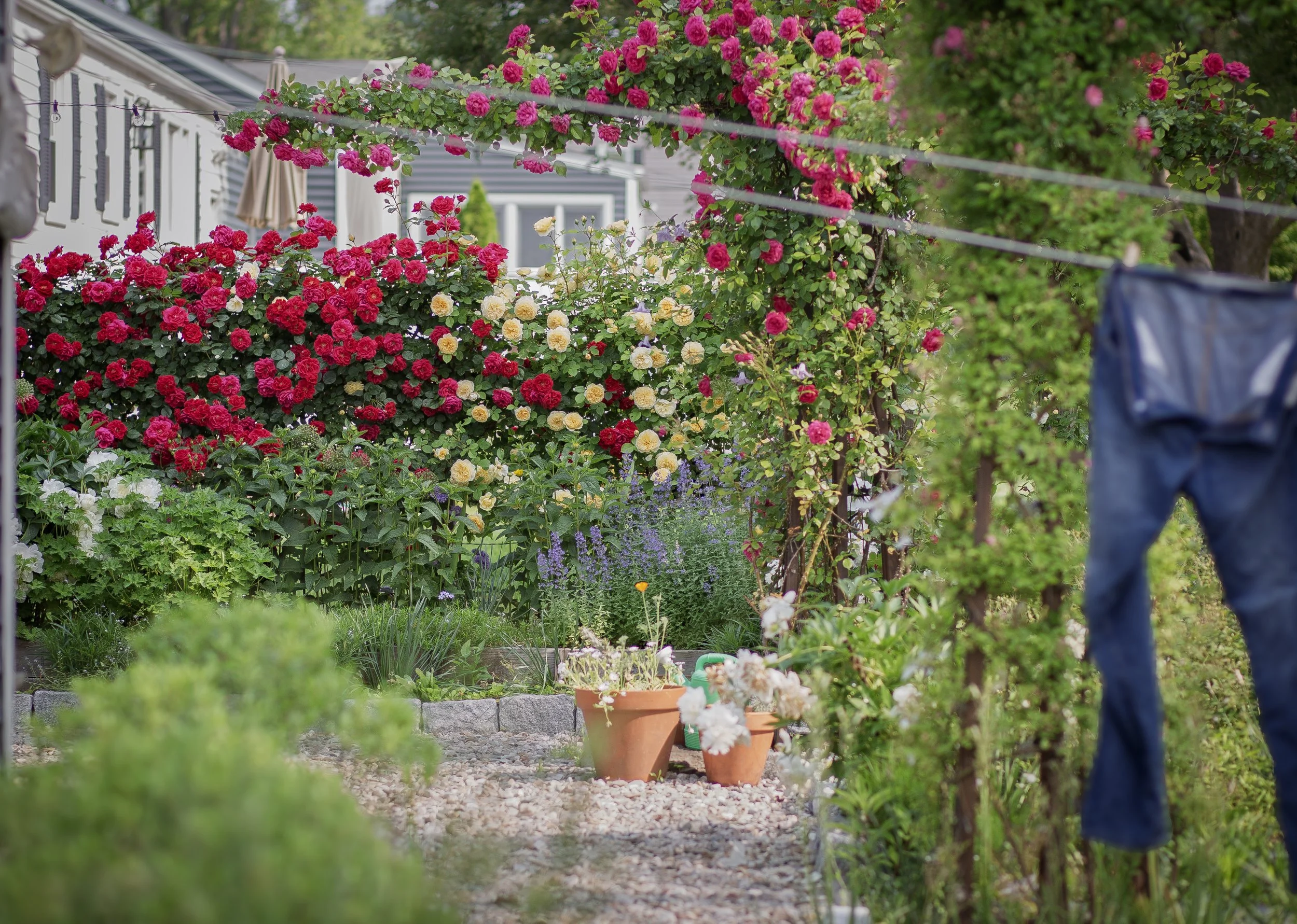 Wet-Site Garden