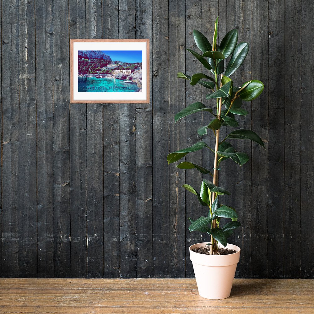 enhanced-matte-paper-framed-poster-(in)-red-oak-16x20-lifestyle-2-62f8aae3686d2.jpg