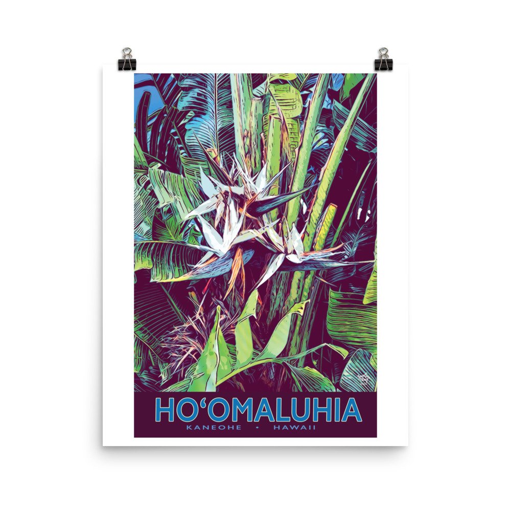 enhanced-matte-paper-poster-(in)-16x20-transparent-62f9a254113e4.jpg