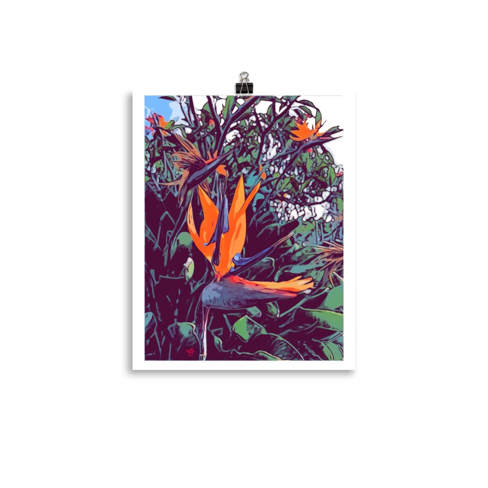 enhanced-matte-paper-poster-(in)-11x14-transparent-6303b903c8c48.jpg