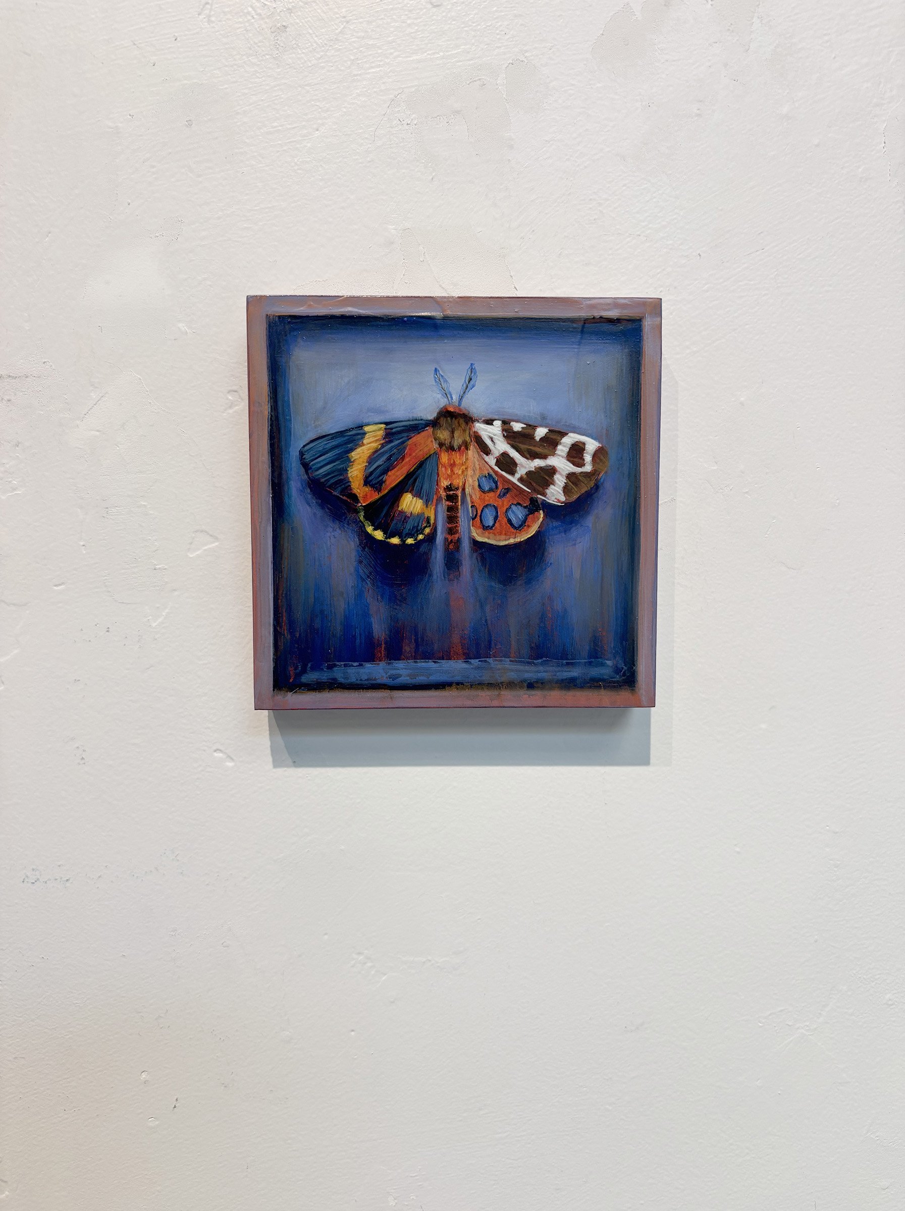 surreal-spotted-moth-frame-oddity-blue-painting.jpg