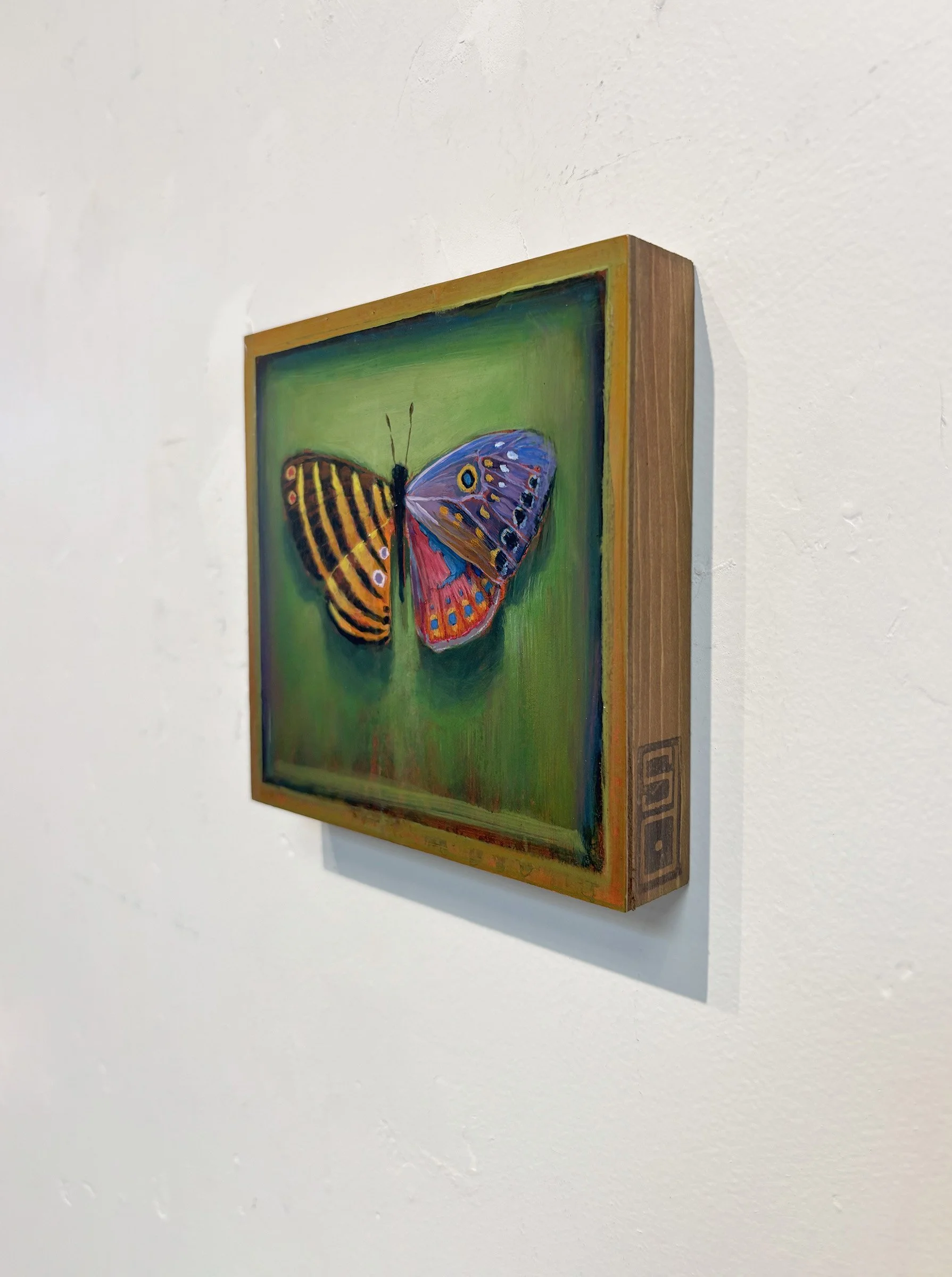 surreal-colorful-butterfly-frame-oddity-green-wood.jpg