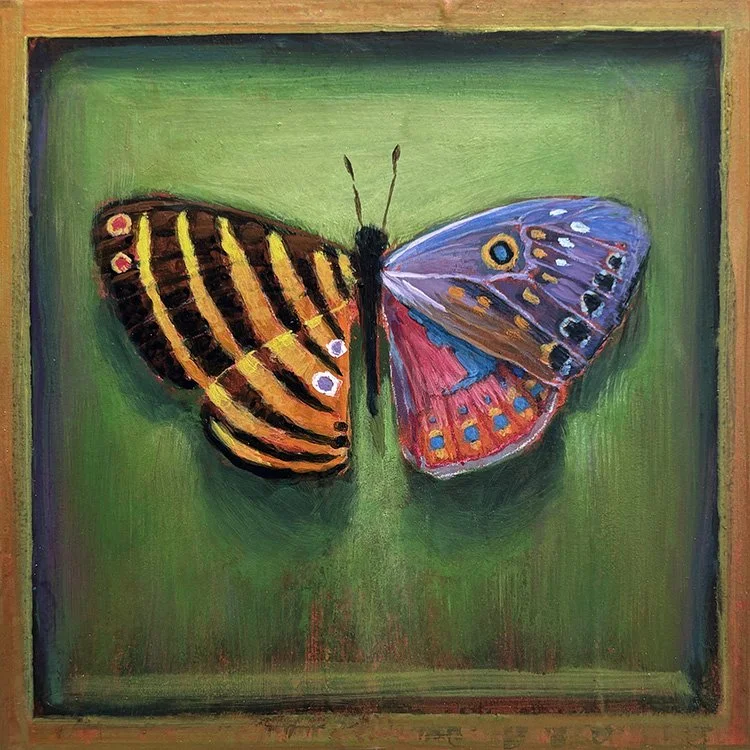 surreal-colorful-butterfly-frame-oddity-green-wings.jpg