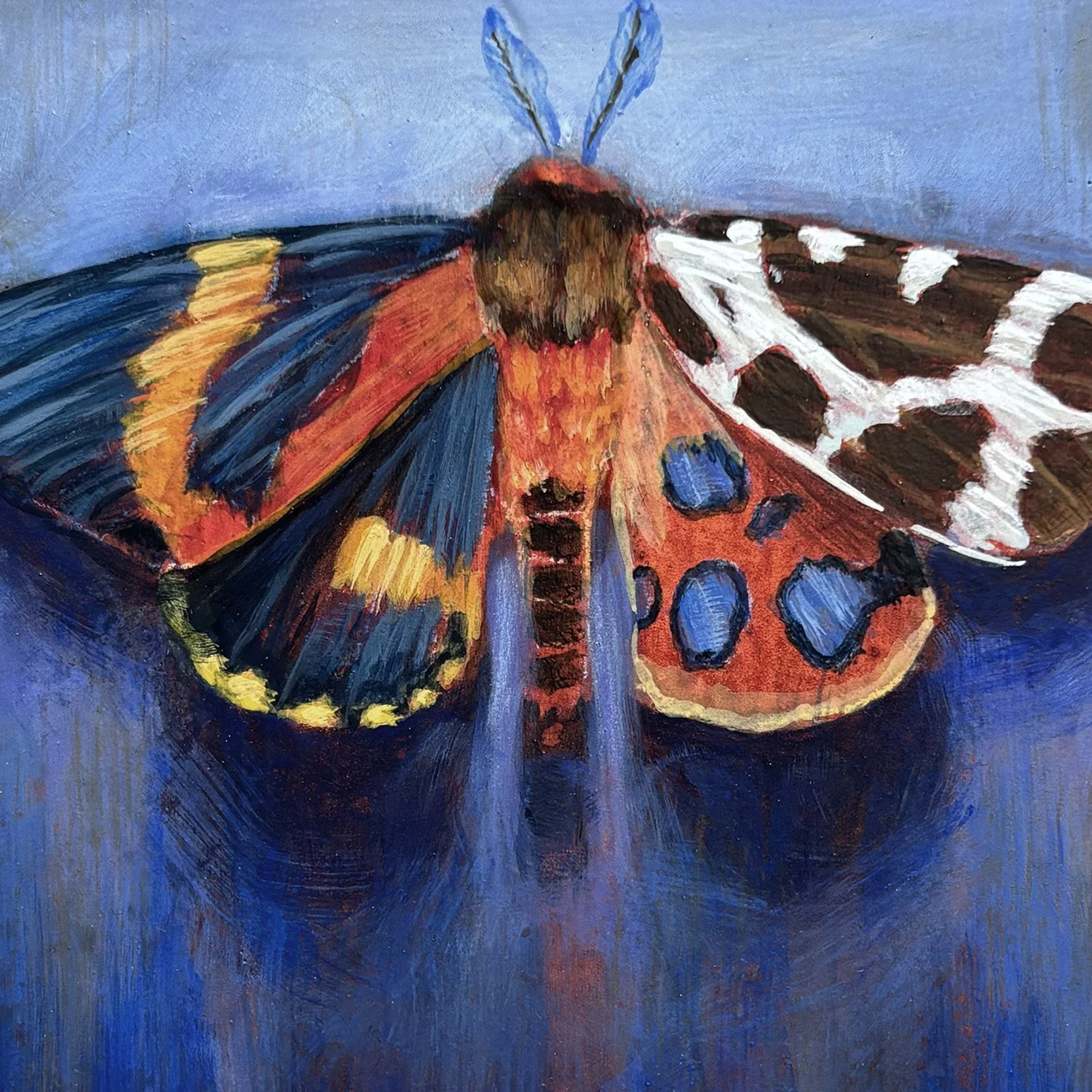 surreal-spotted-moth-frame-oddity-detail-painting.jpg
