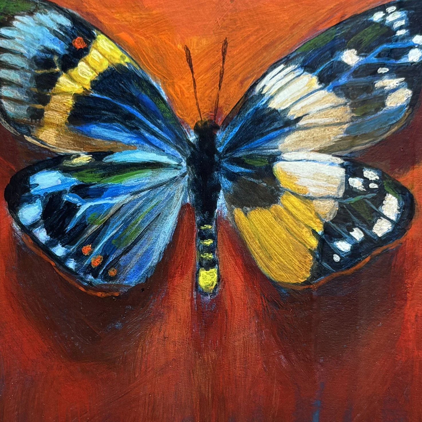 surreal-exotic-butterfly-frame-oddity-painting-red.jpg