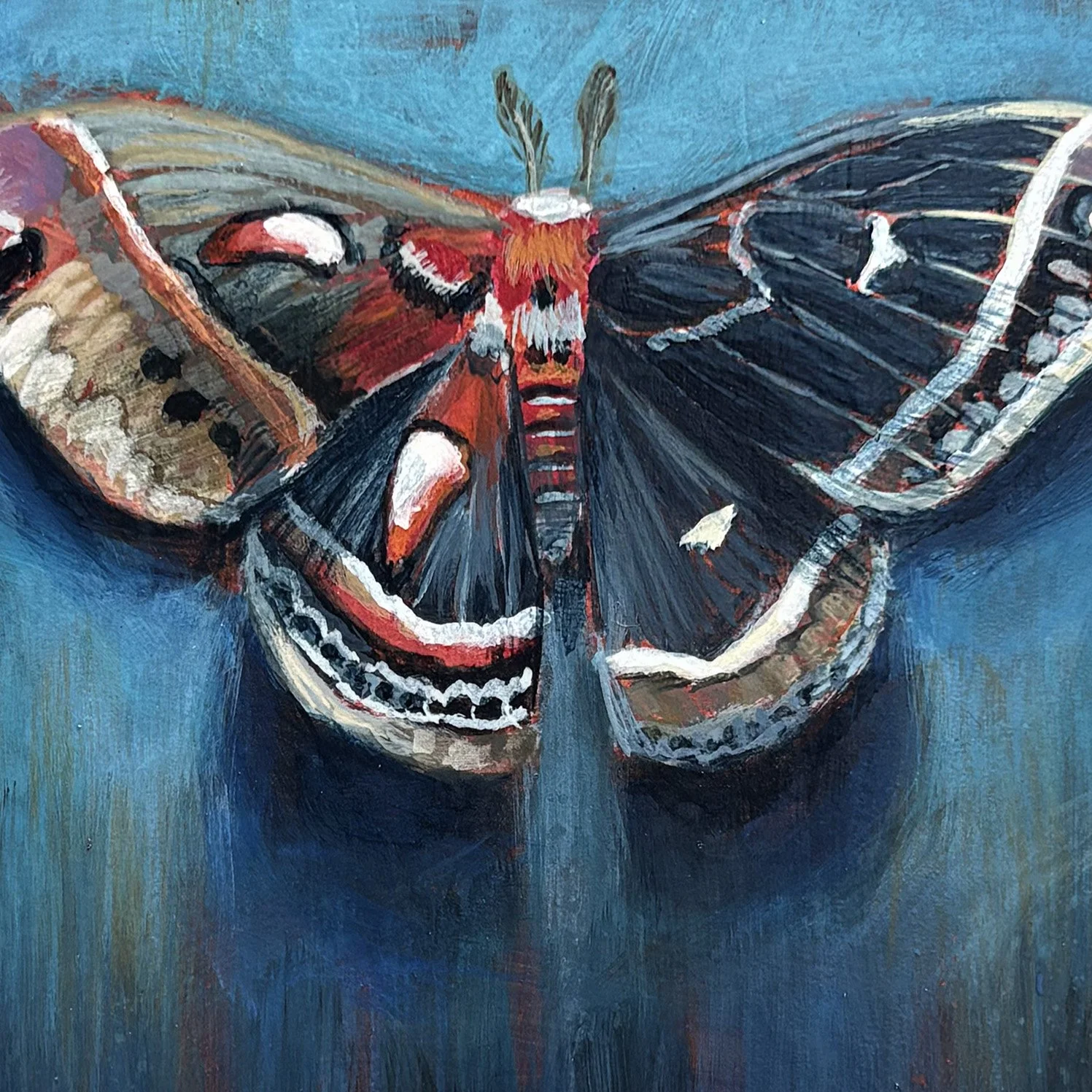 surreal-blue-moth-frame-oddity-wings-painting.jpg