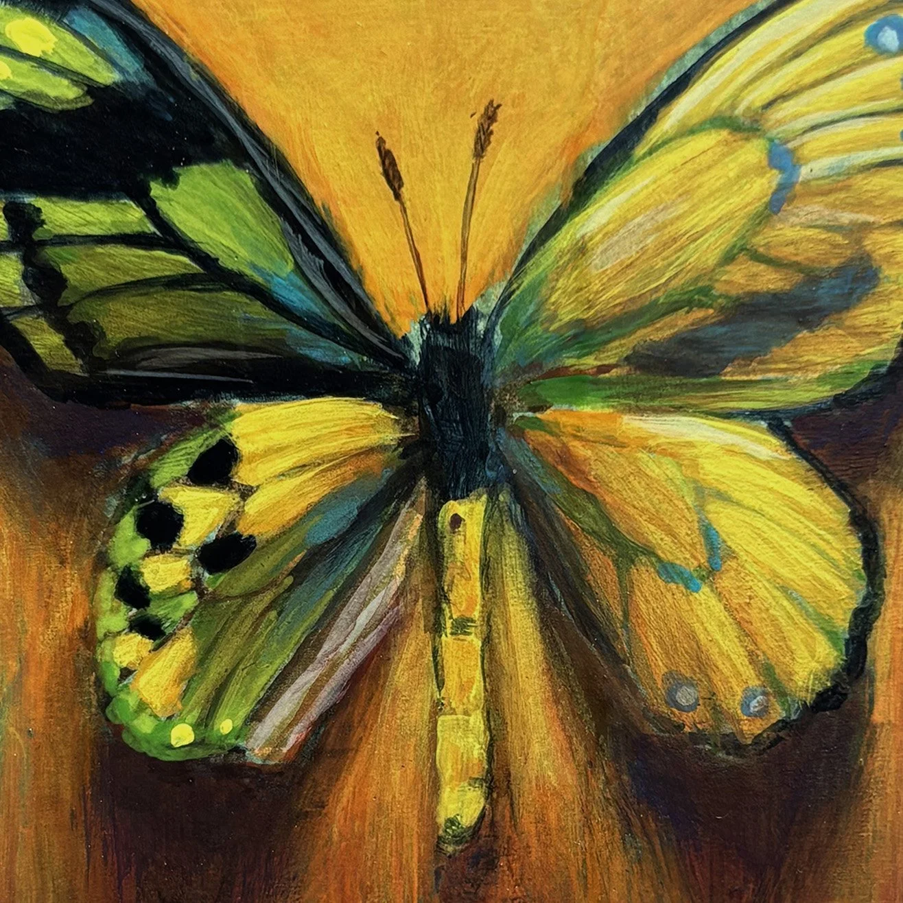 surreal-yellow-butterfly-frame-oddity-green-painting.jpg