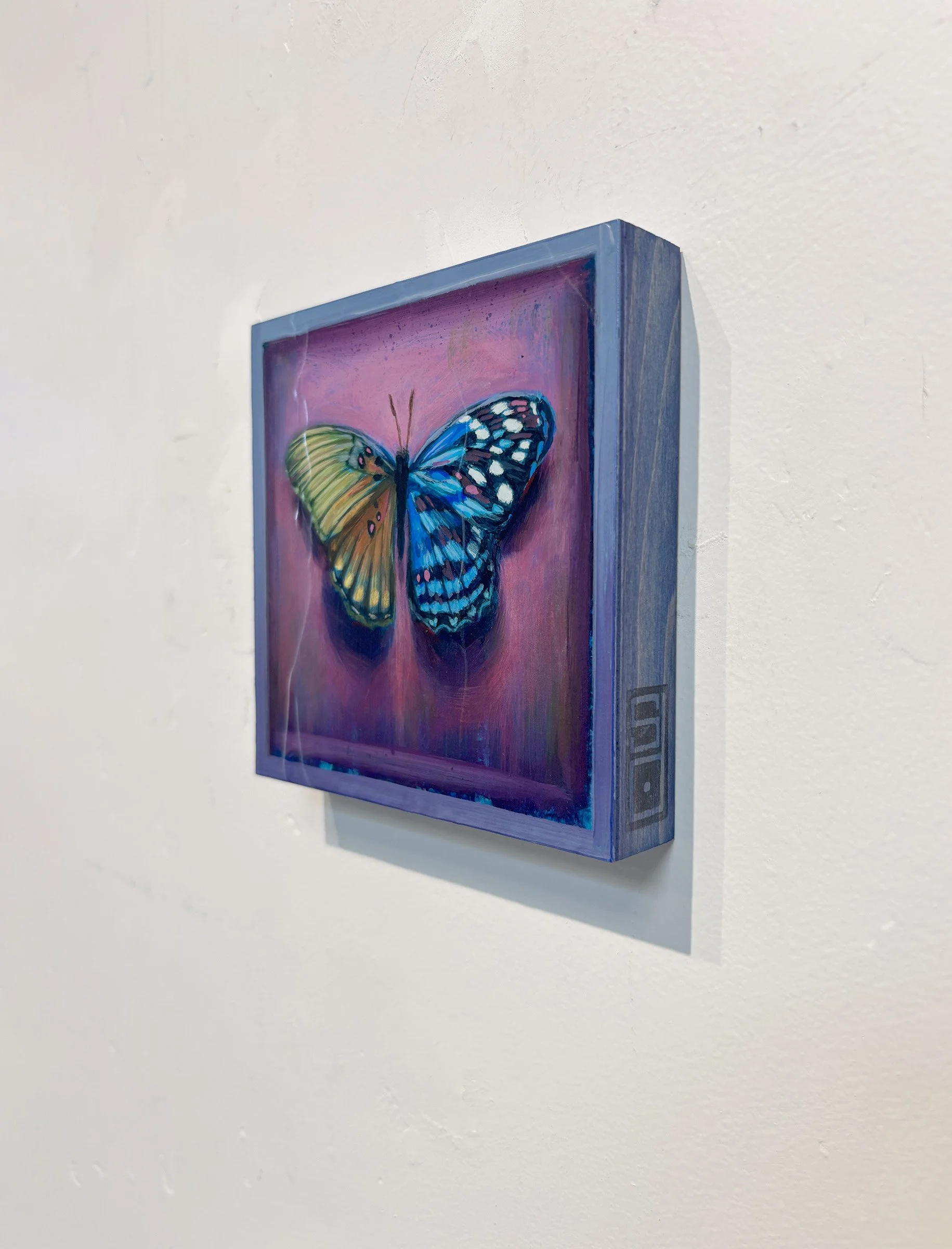 surreal-colorful-butterfly-frame-oddity-purple-hanging.jpg