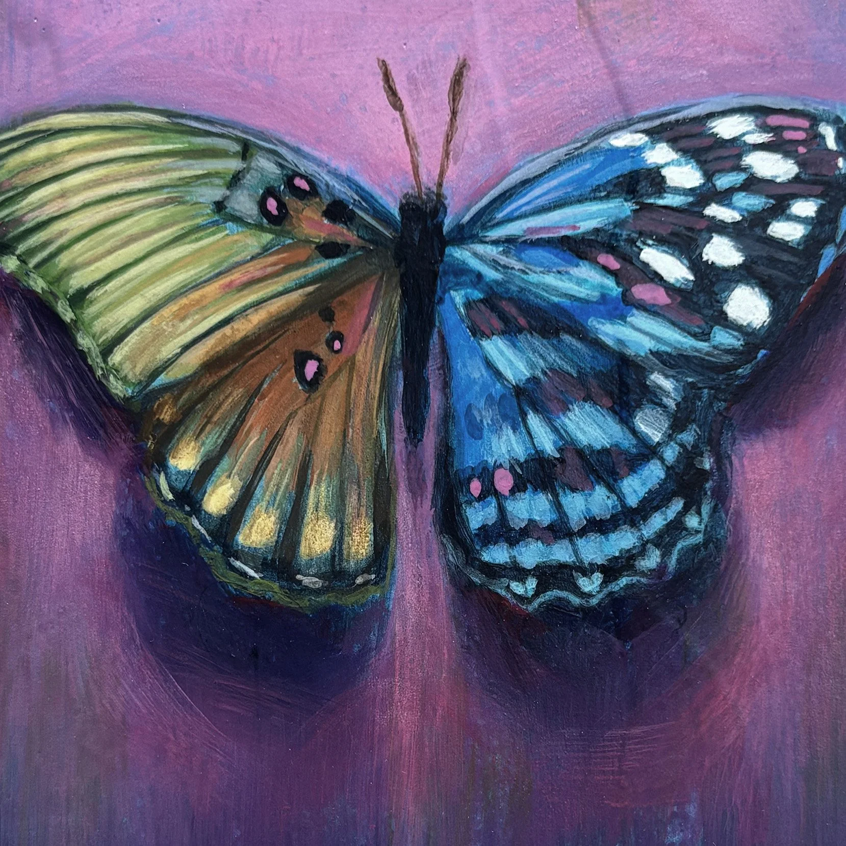 surreal-colorful-butterfly-frame-oddity-purple-art.jpg