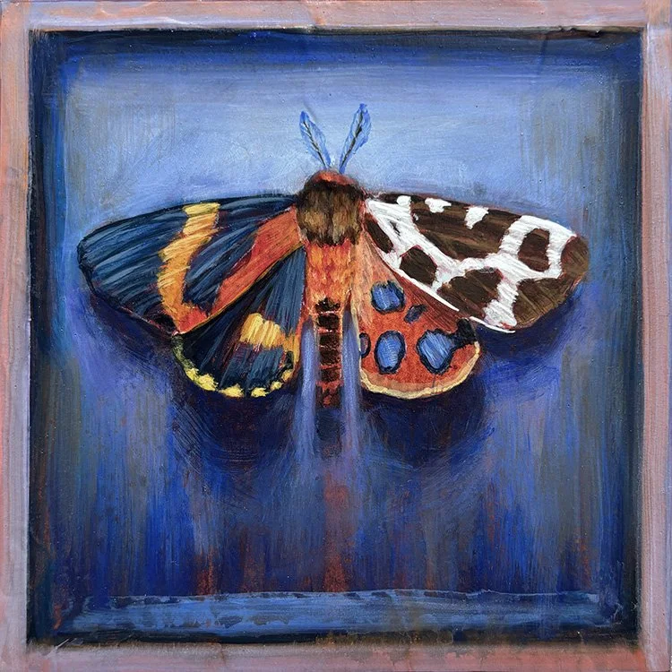 surreal-spotted-moth-frame-oddity-blue-background.jpg