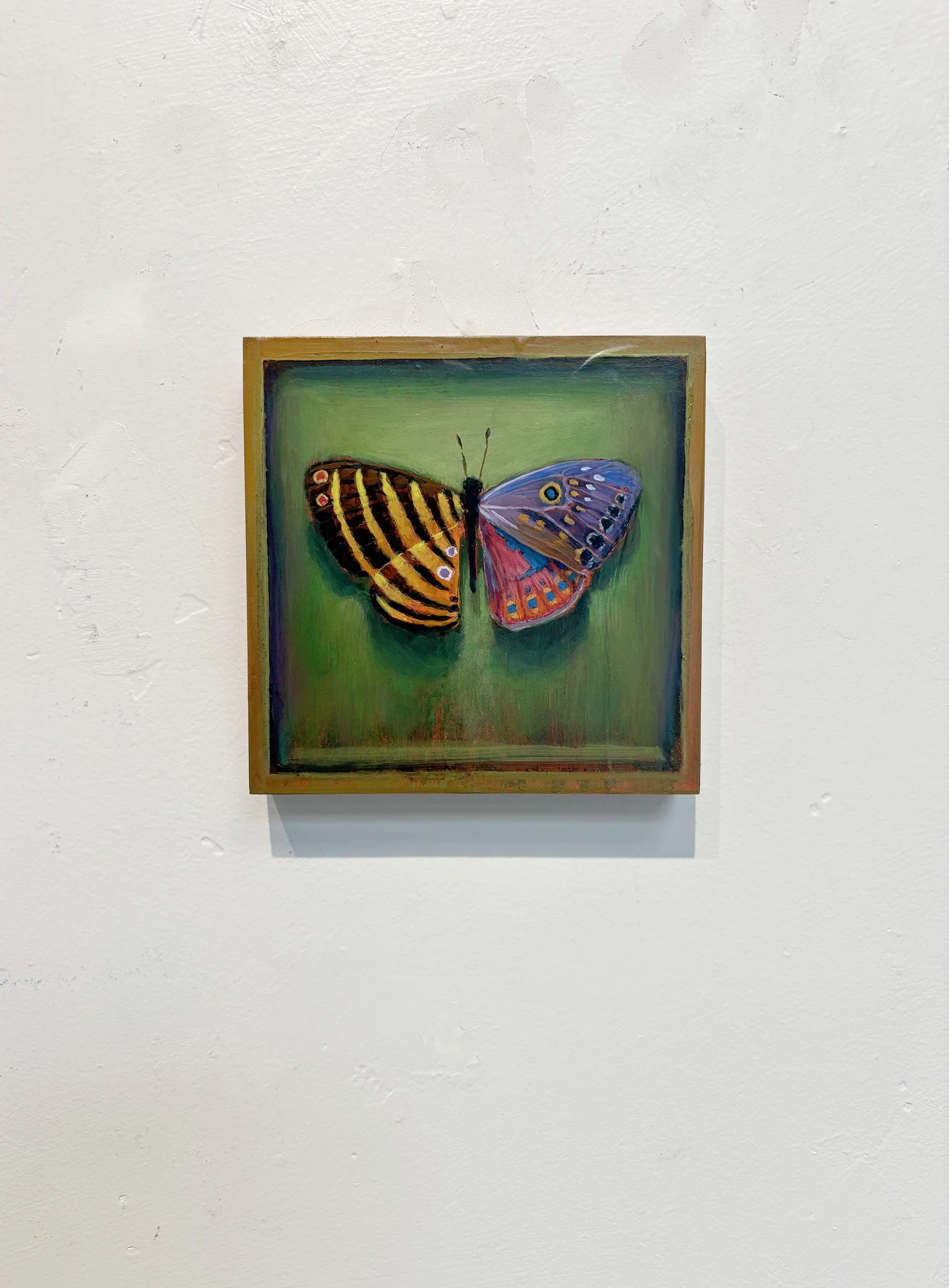 surreal-colorful-butterfly-frame-oddity-green-hanging.jpg