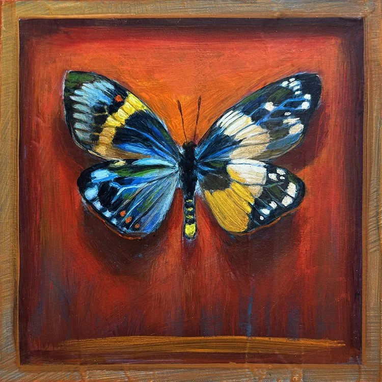 surreal-exotic-butterfly-frame-oddity-blue-red.jpg