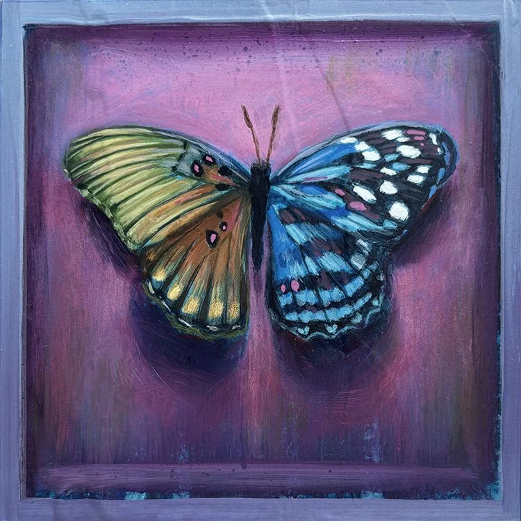 surreal-colorful-butterfly-frame-oddity-purple-background.jpg