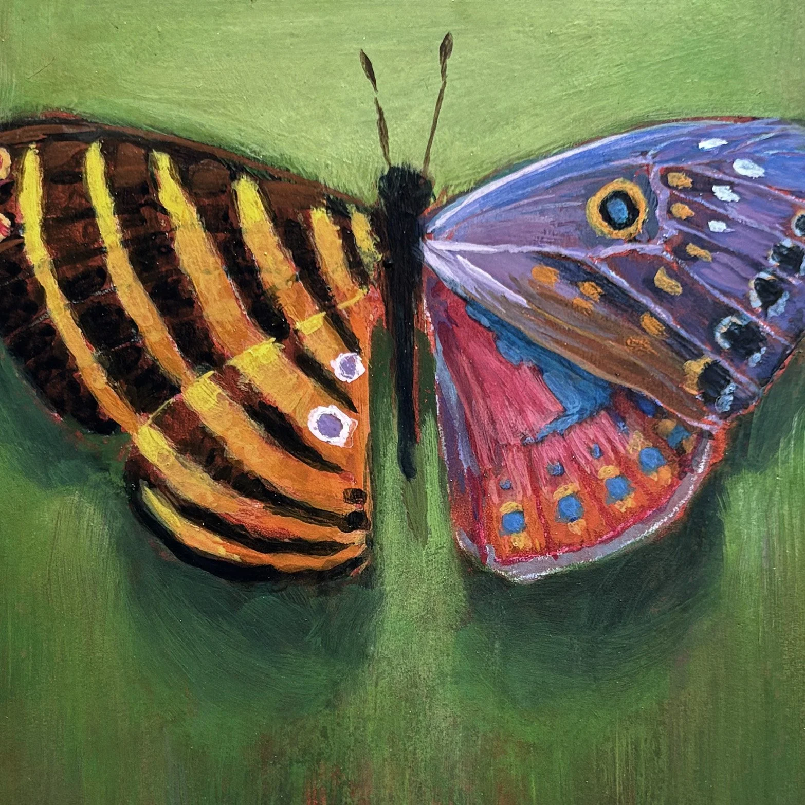 surreal-colorful-butterfly-frame-oddity-green-painting.jpg