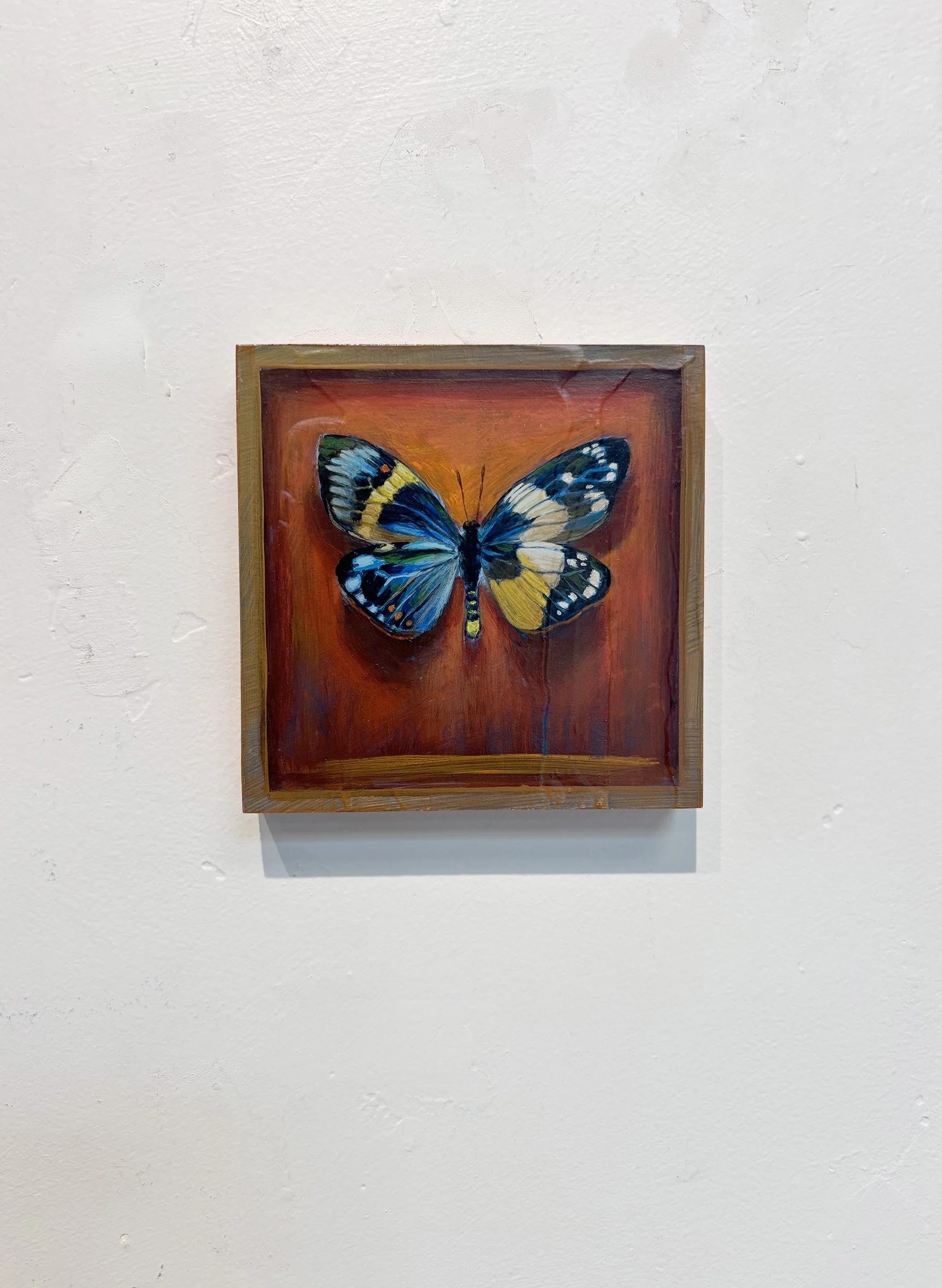 surreal-exotic-butterfly-frame-oddity-art-red.jpg