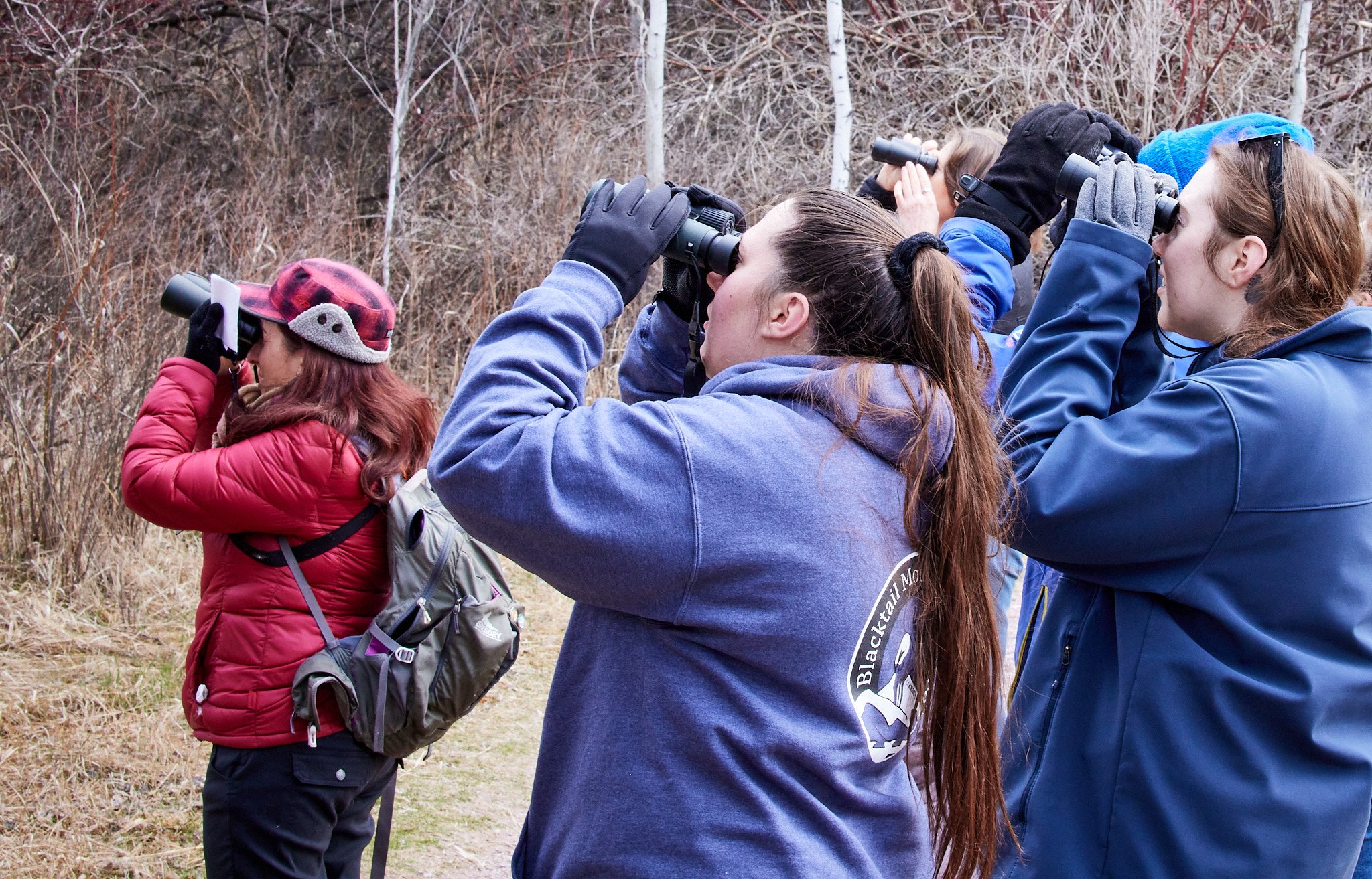 Birding at Maclay Flat