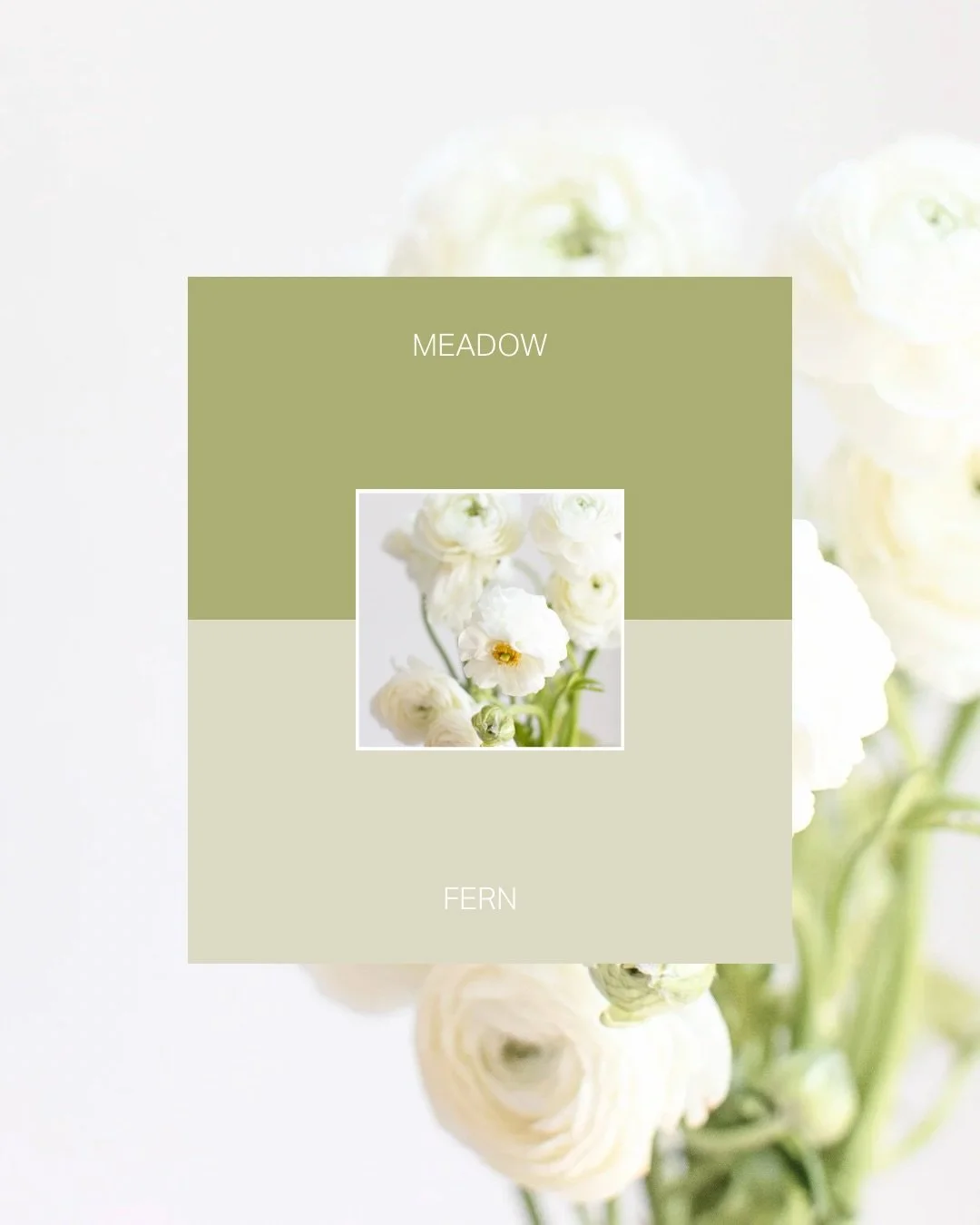 Luxury design thrives on simplicity, but never at the cost of personality. With two intentional, high-contrast colors, your brand can feel clean, elevated, and still make a memorable statement without relying on a crowded palette. 

Which one&rsquo;s