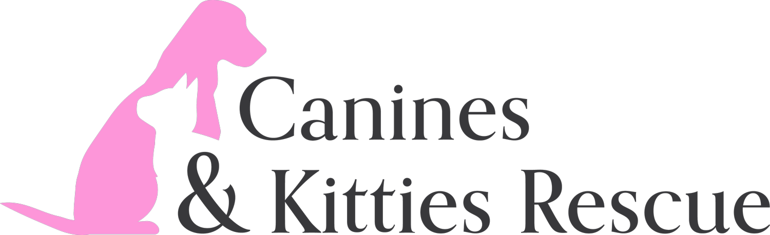 Canines &amp; Kitties Rescue