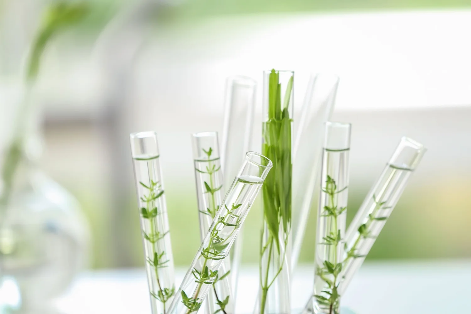 Diagnostic clinical blood panel processing at Evolve Skin Spa