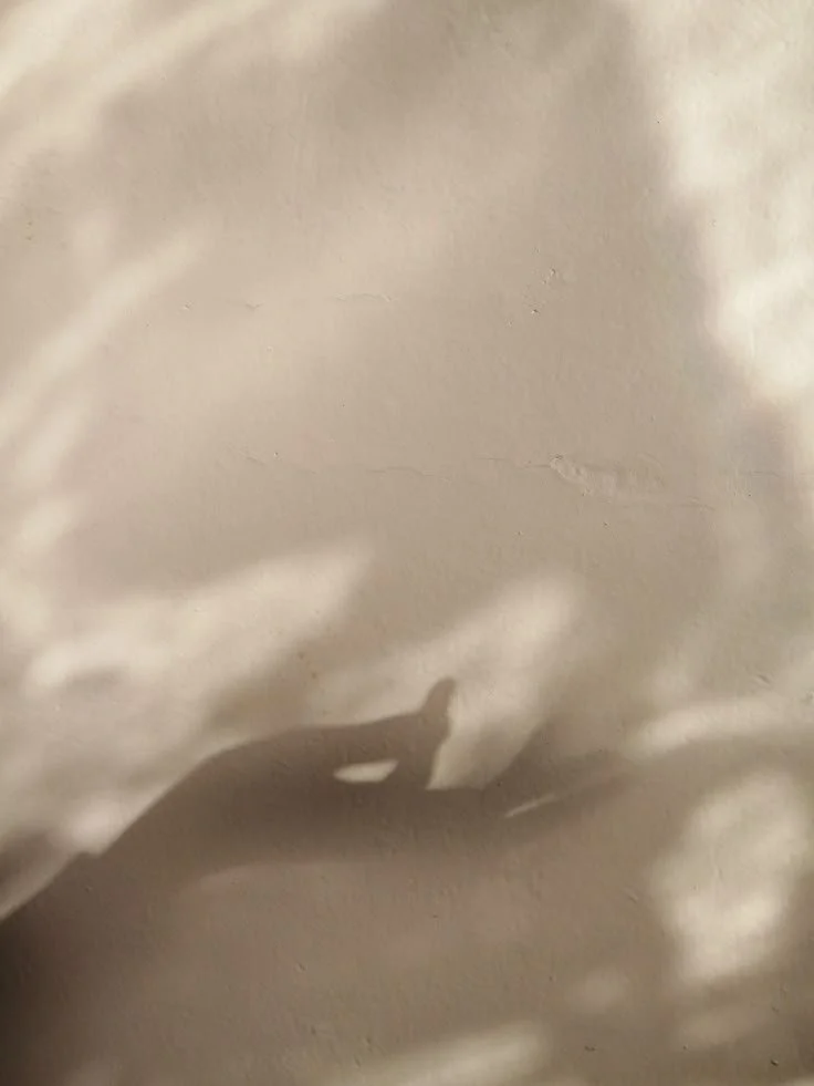 Iron Infusions: Restoring Energy from the Inside Out