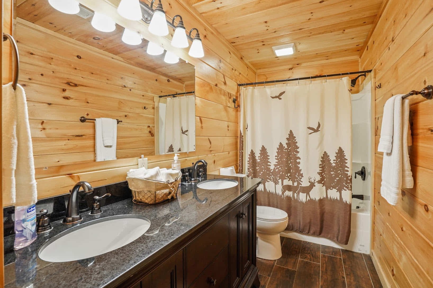 River Rock Lodge Basement Bathroom Hocking Hills Ohio