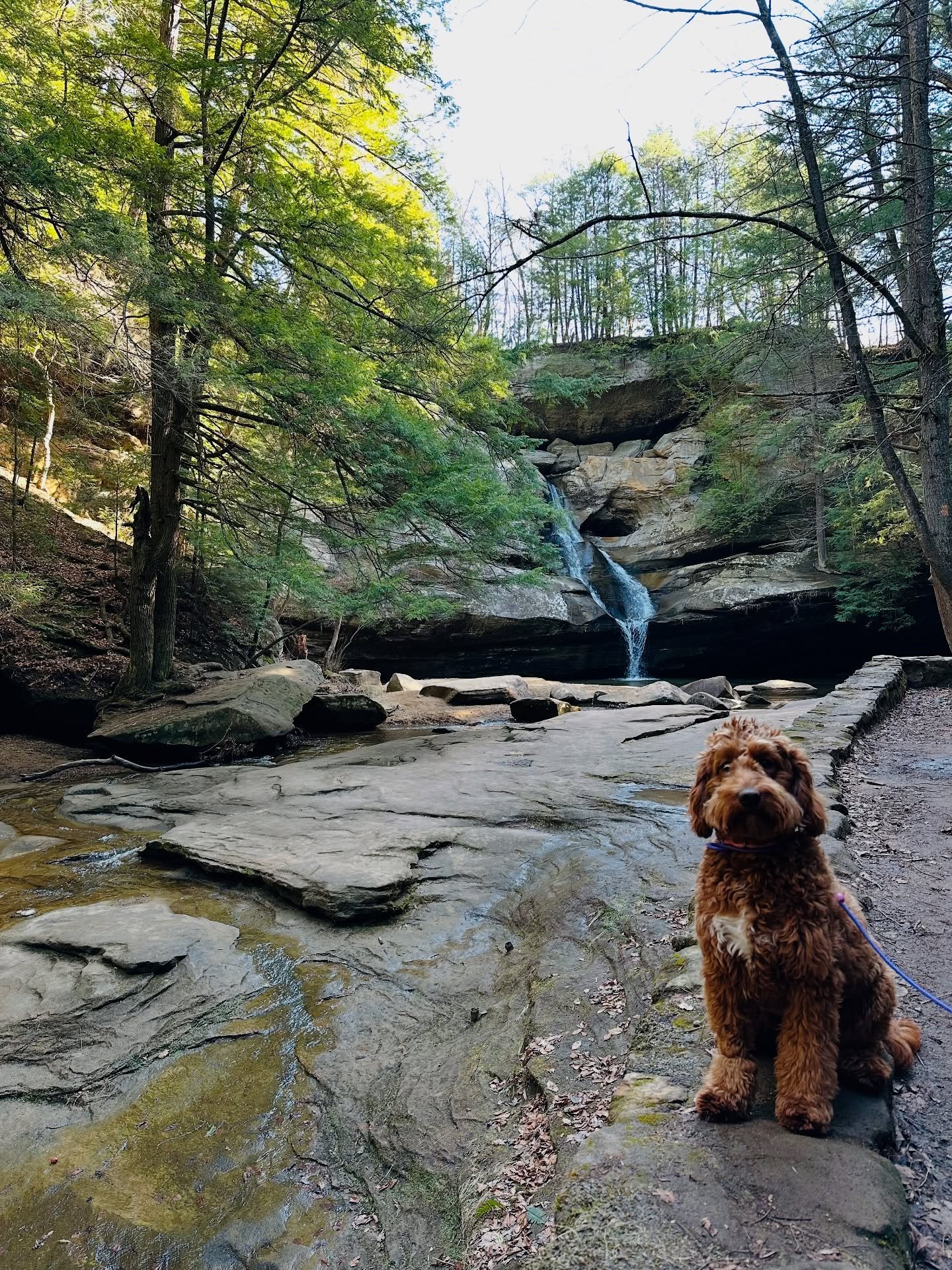 You &amp; your pup will love hiking, chasing waterfalls, and living the cabin life in Hocking Hills!