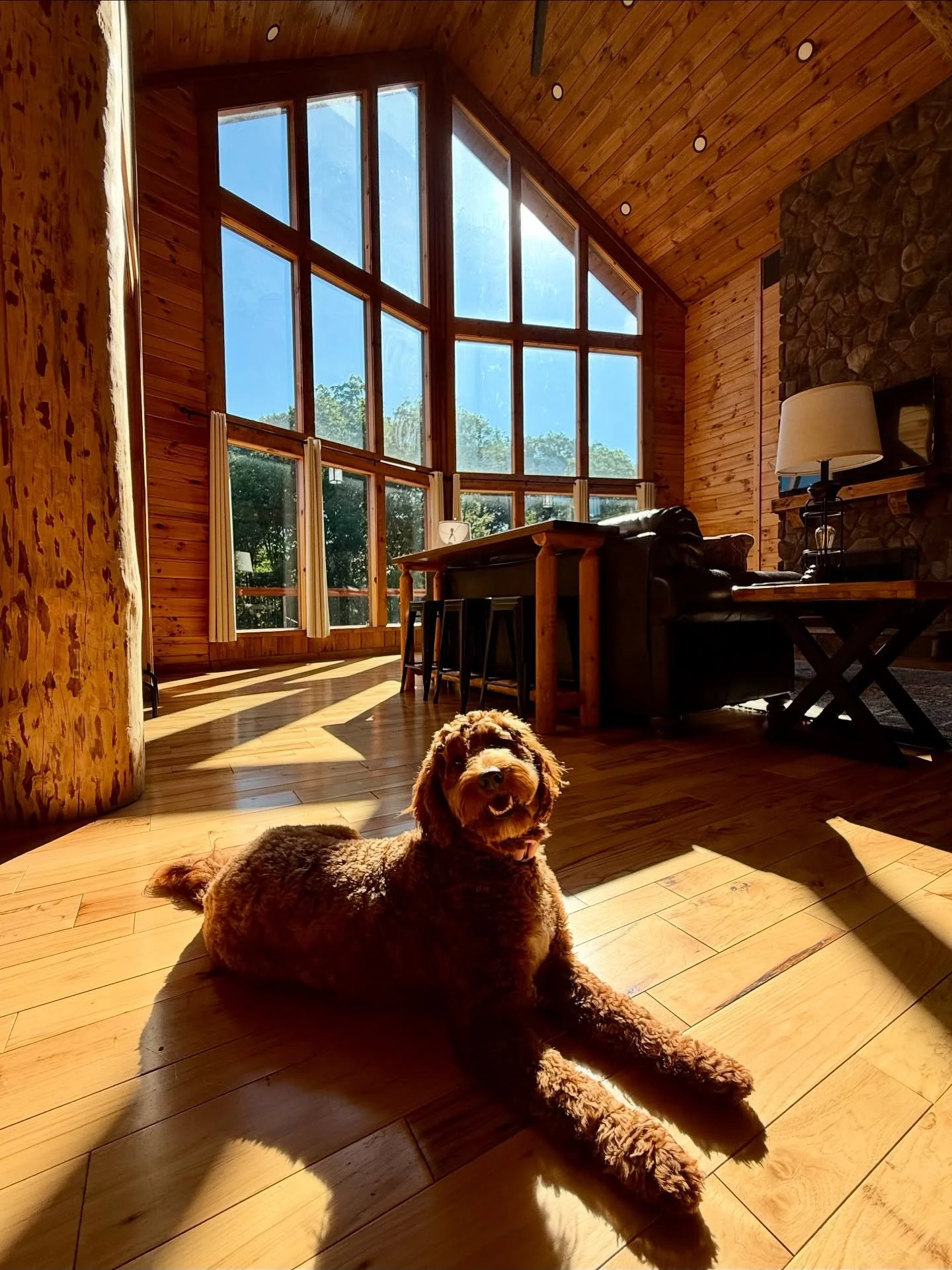 Did you know our business, Liberty Log Lodging, was named after our old dog Liberty &amp; that all of our properties are pet friendly? Libby&rsquo;s no longer with us but we have so many amazing memories with her at the cabins! Here&rsquo;s our new p