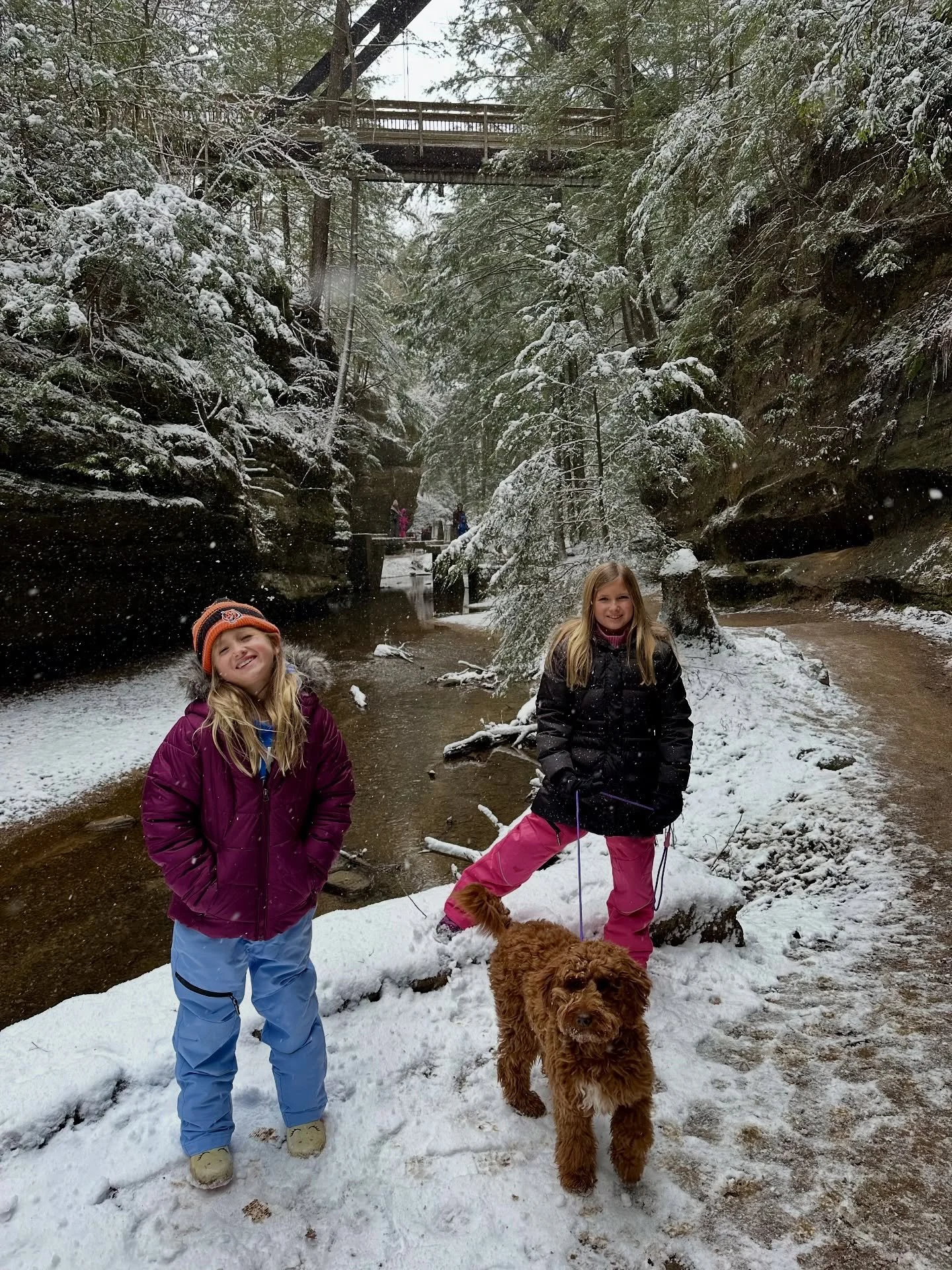 Flashback to a January Winter Hike ❄️ Get your winter retreat scheduled to enjoy quiet hikes, steamy hot tubs, and relaxing fires 🔥