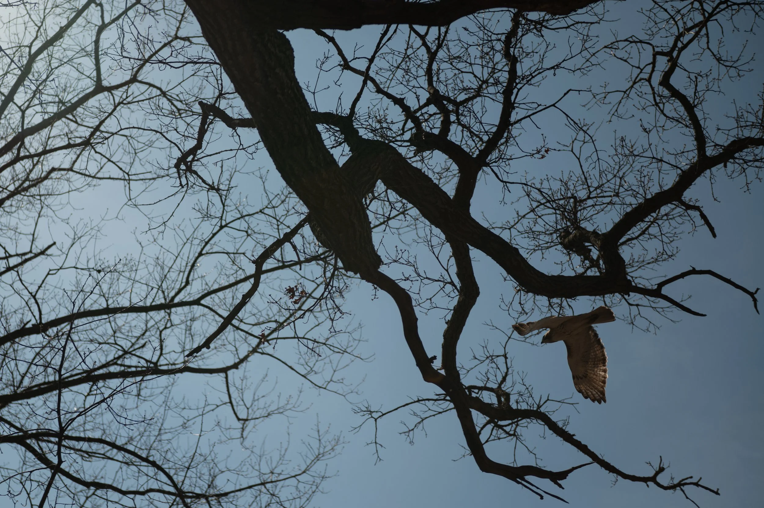PBHighPark_Ritchie-230426-62.jpg