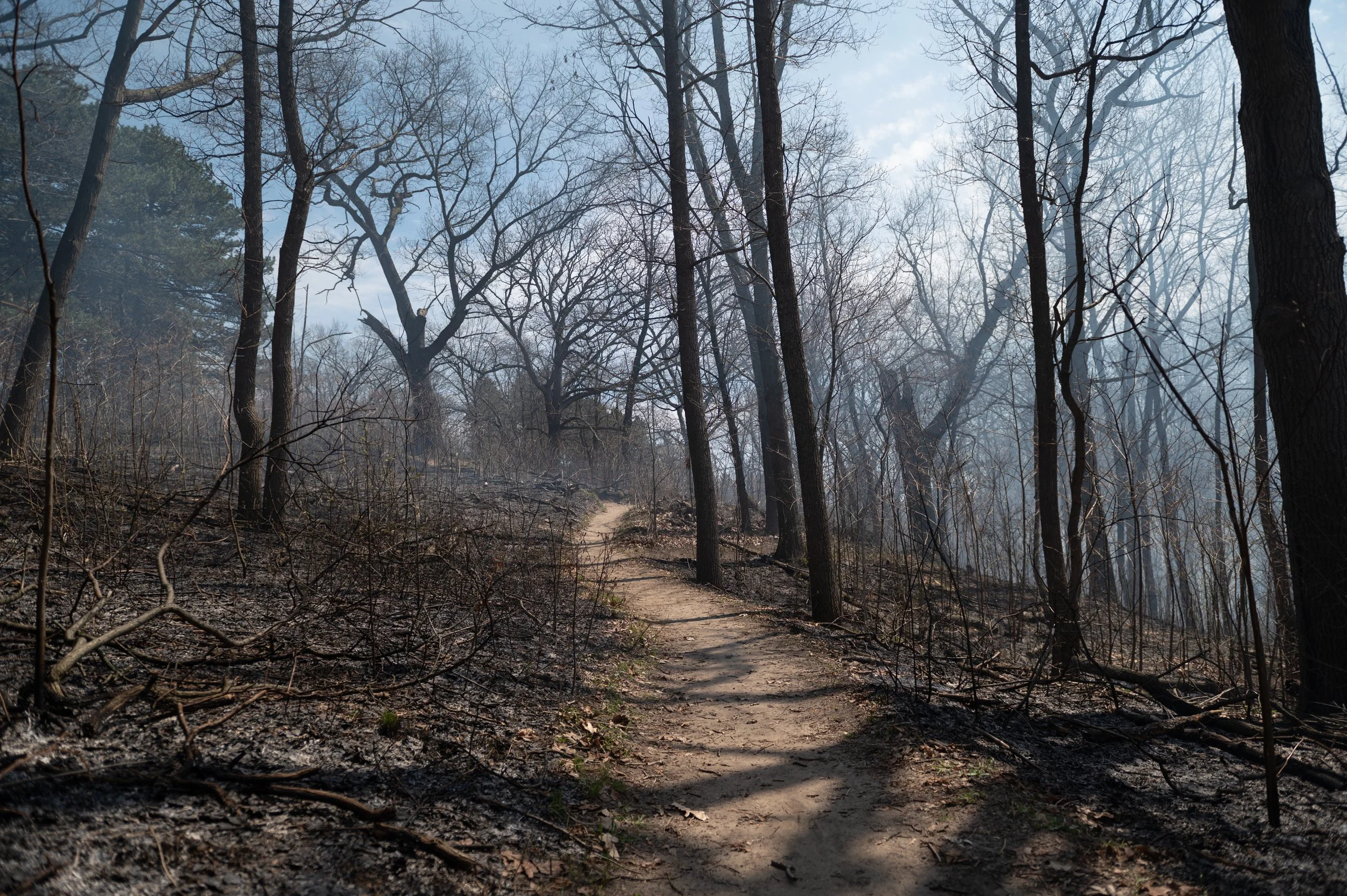 PBHighPark_Ritchie-230426-65.jpg