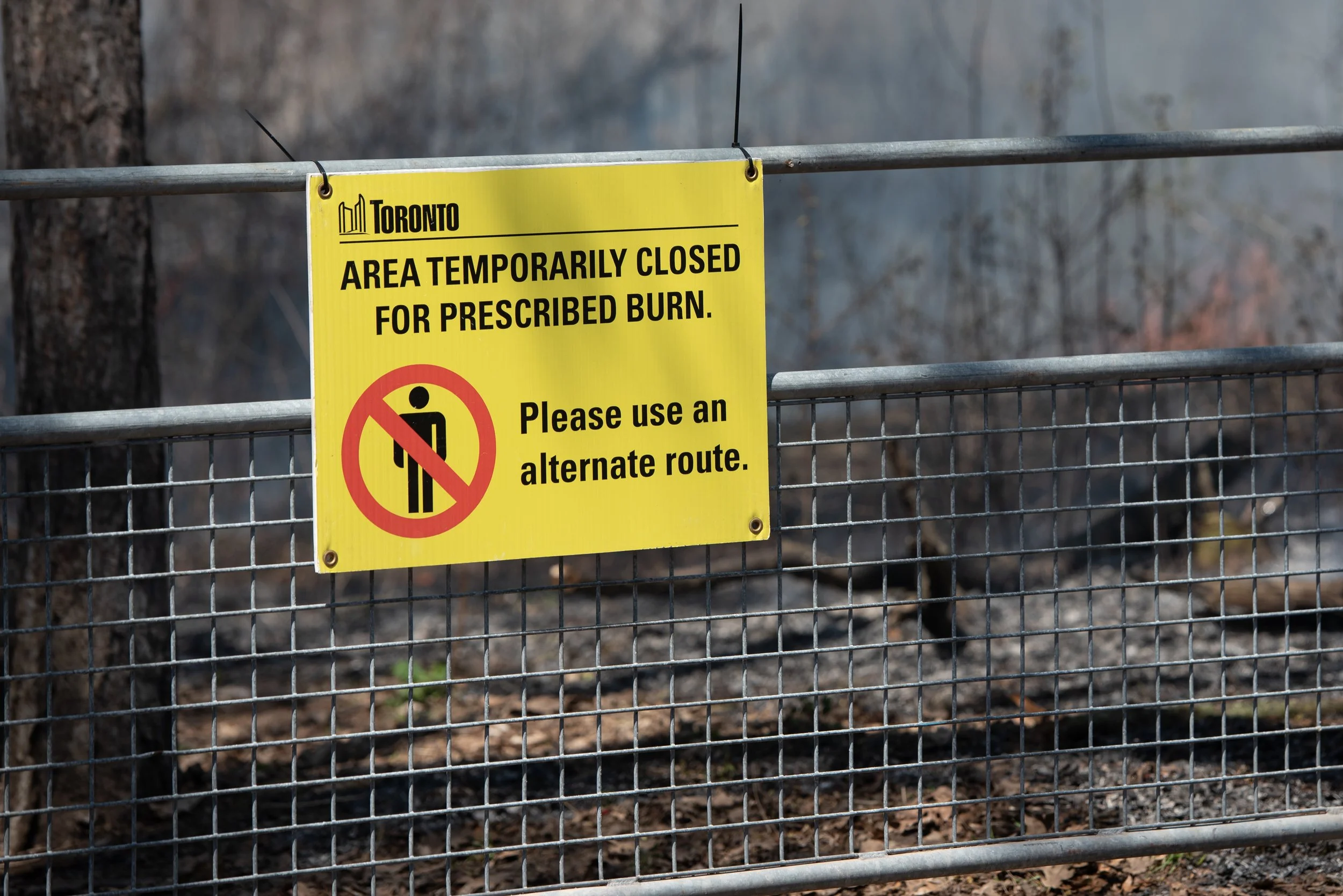 PBHighPark_Ritchie-230426-112.jpg
