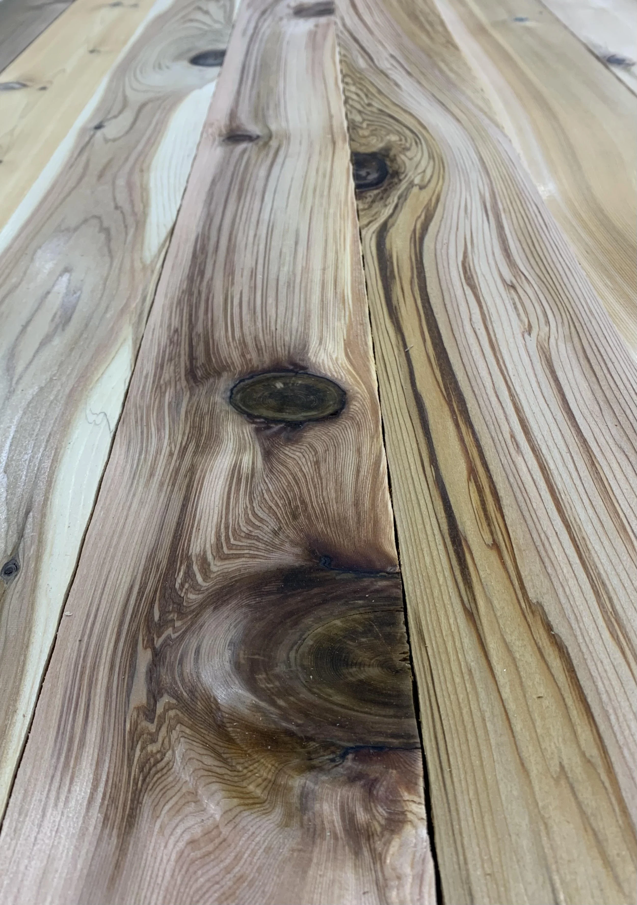 Western Red Cedar