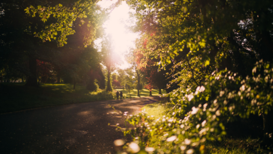 An Audacious, Amazing Inclusion