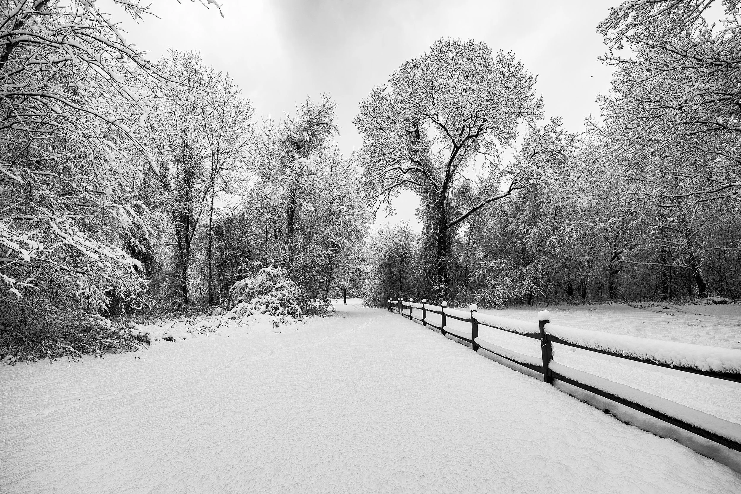 winter 12-14-2025.jpg