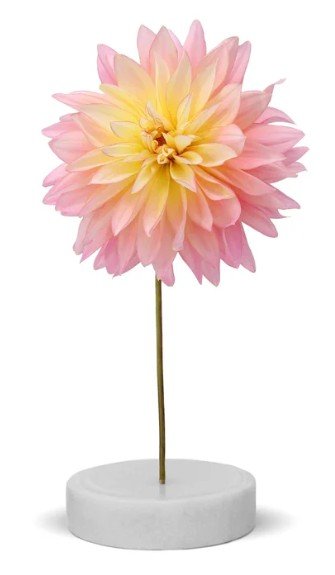 Screenshot 2026-03-05 175614.jpg