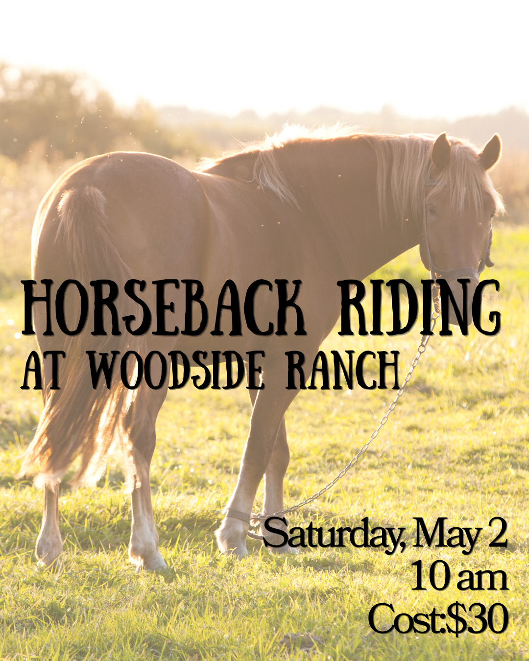 Horseback Riding at Woodside Ranch