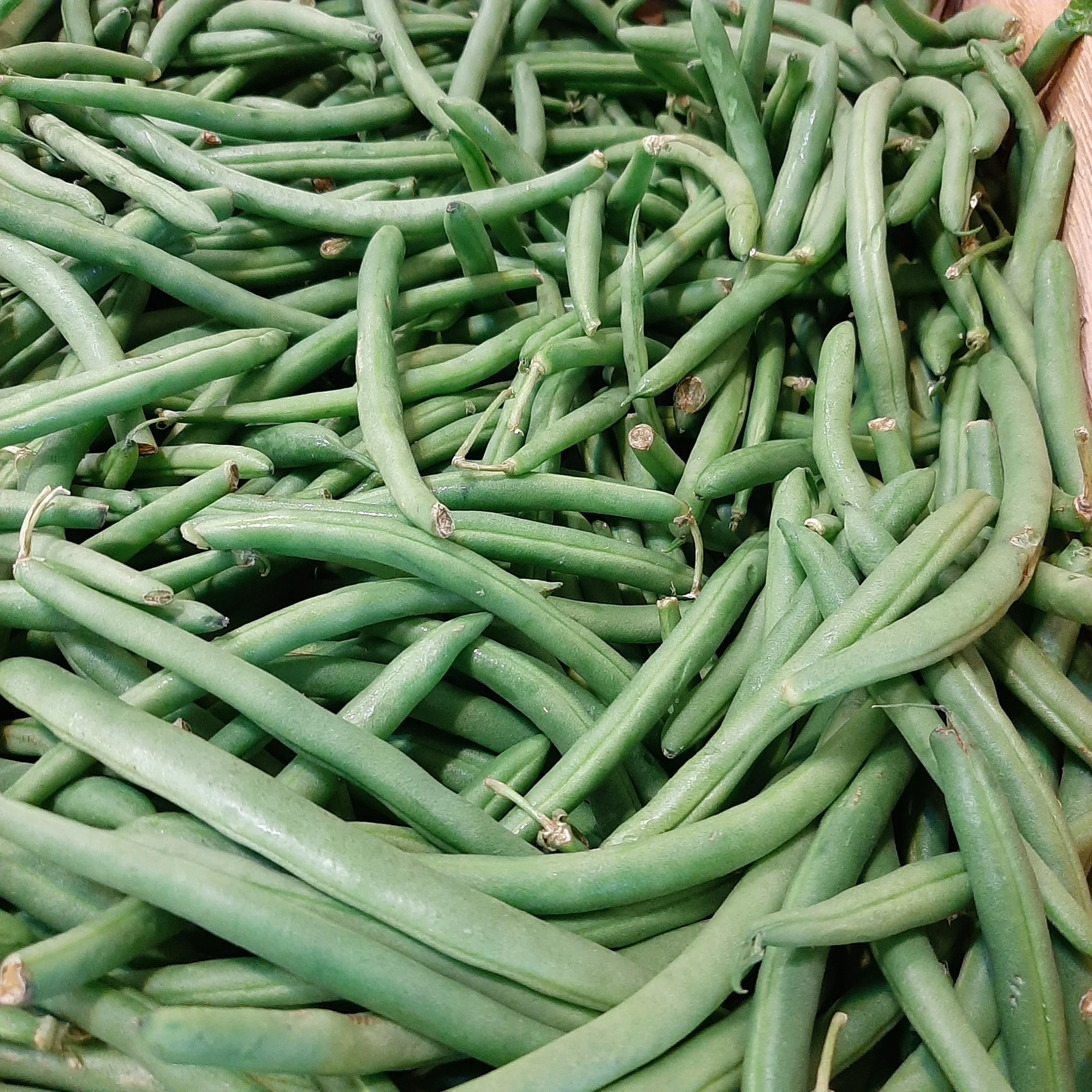 Green Beans