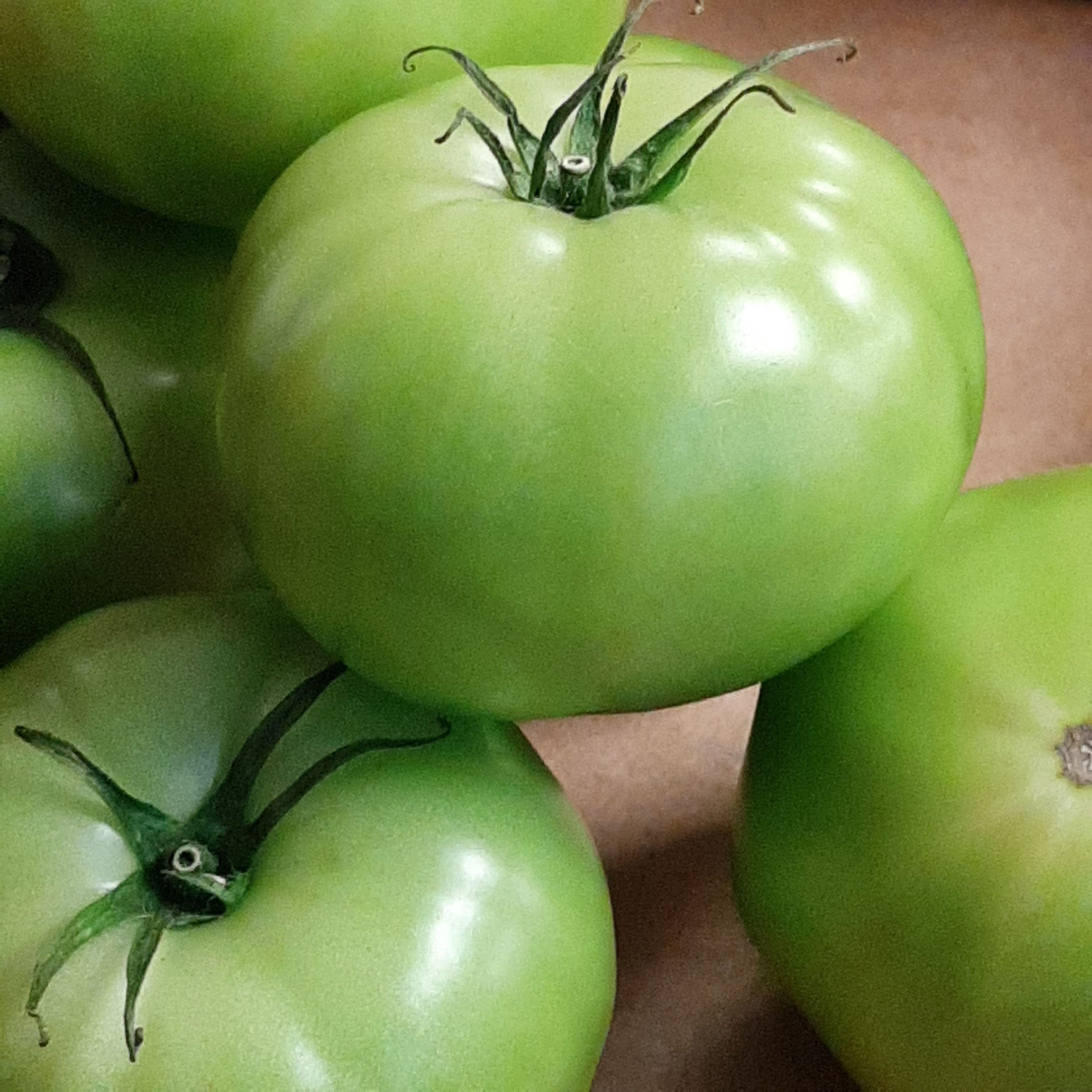Green Tomatoes