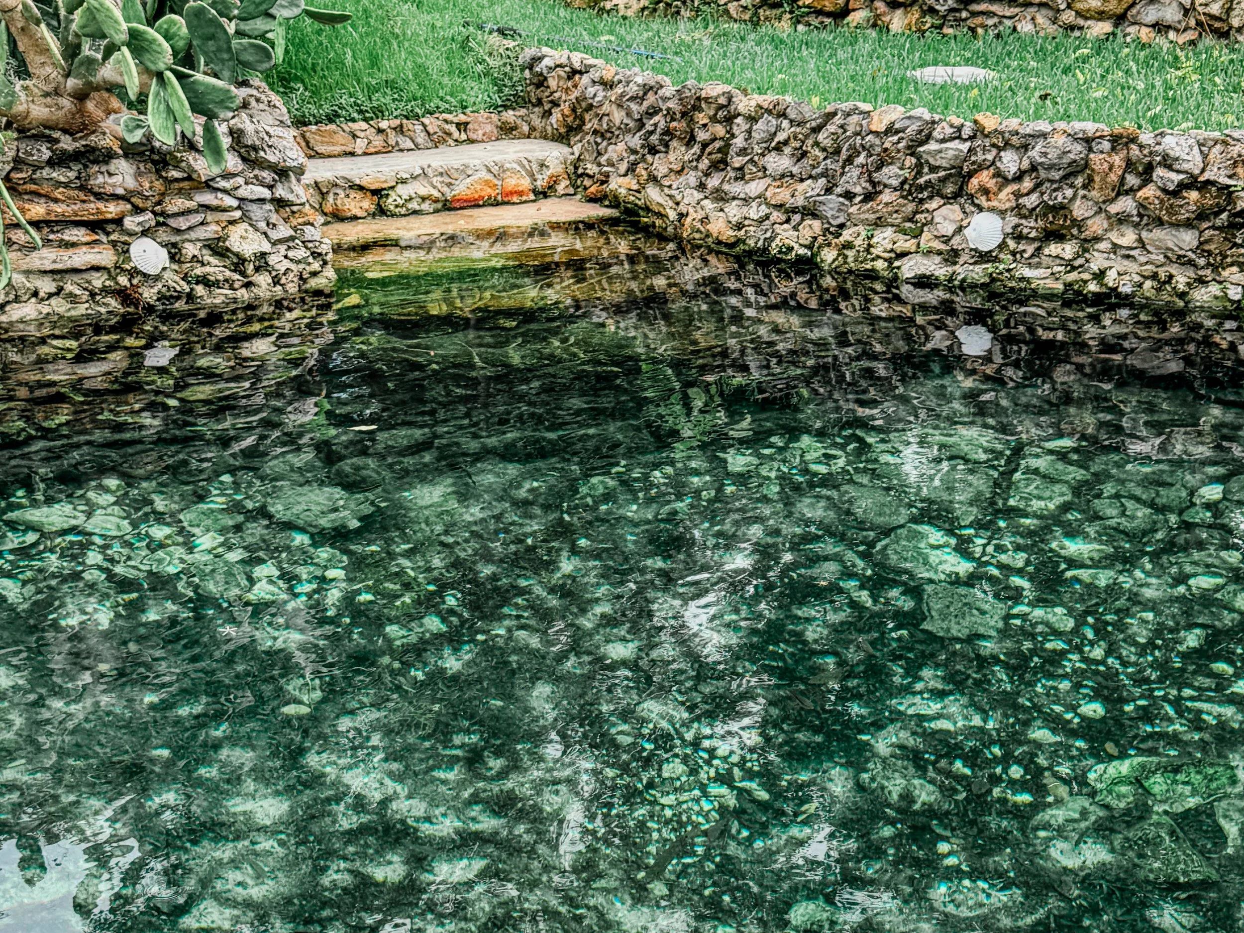 A Natural Private Spring & Hidden Oasis in Tampa