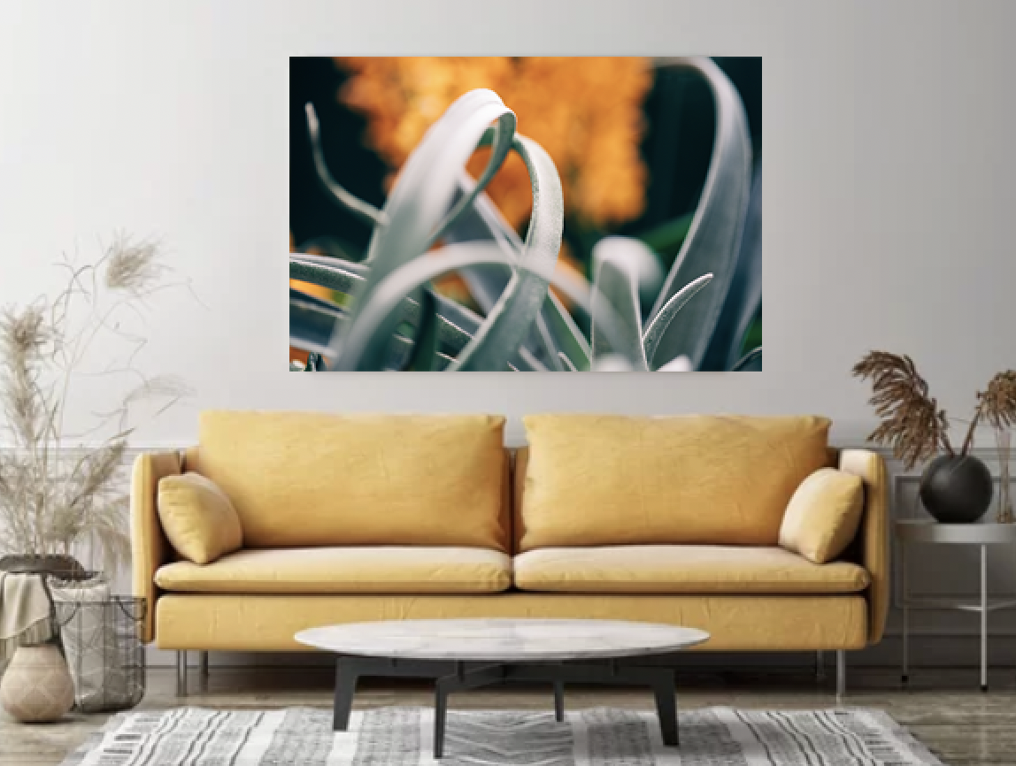 Screenshot 2026-09-24 at 3.15.14 PM.png