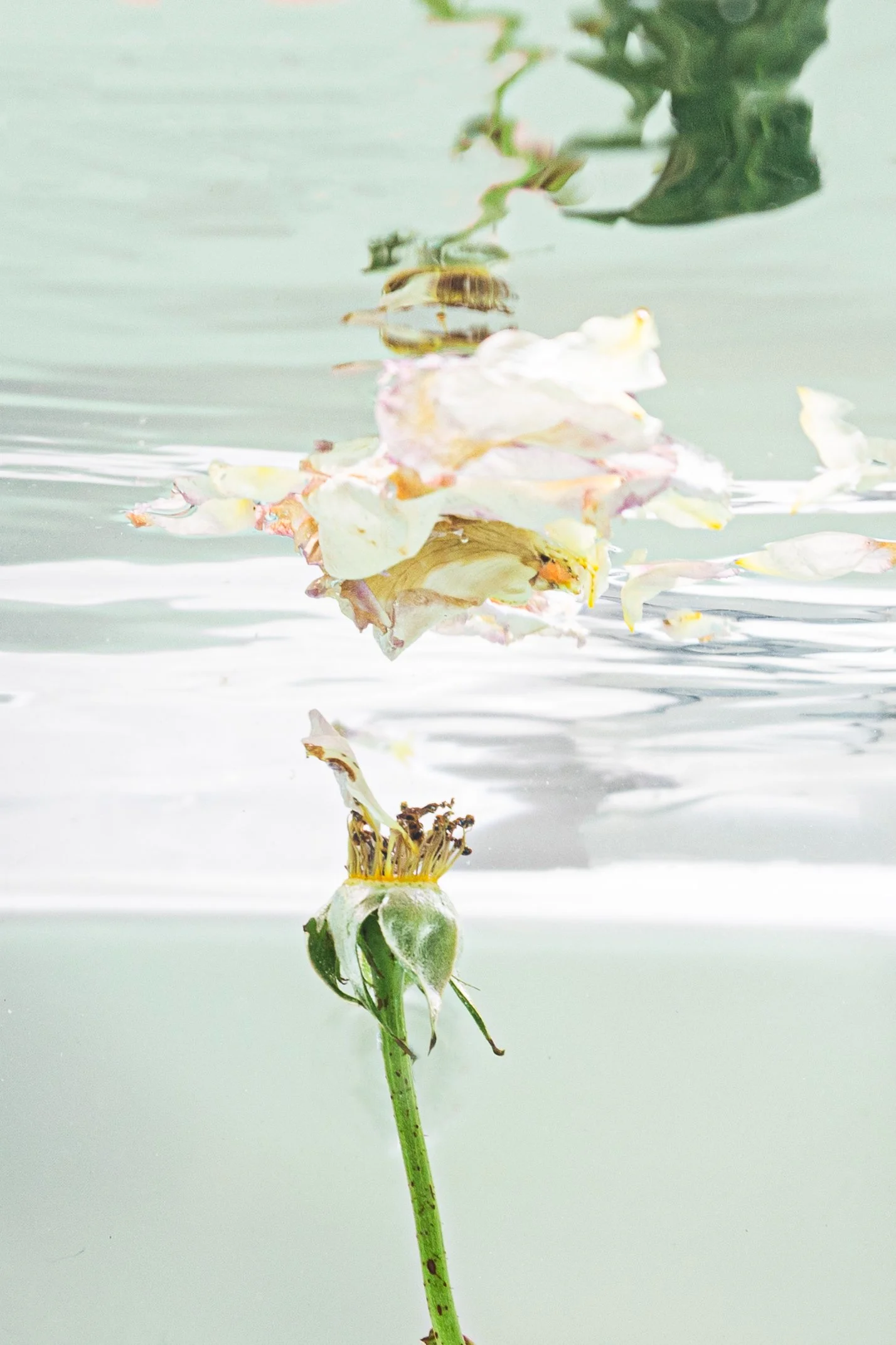 4P6A5315 - Unbecoming.jpg