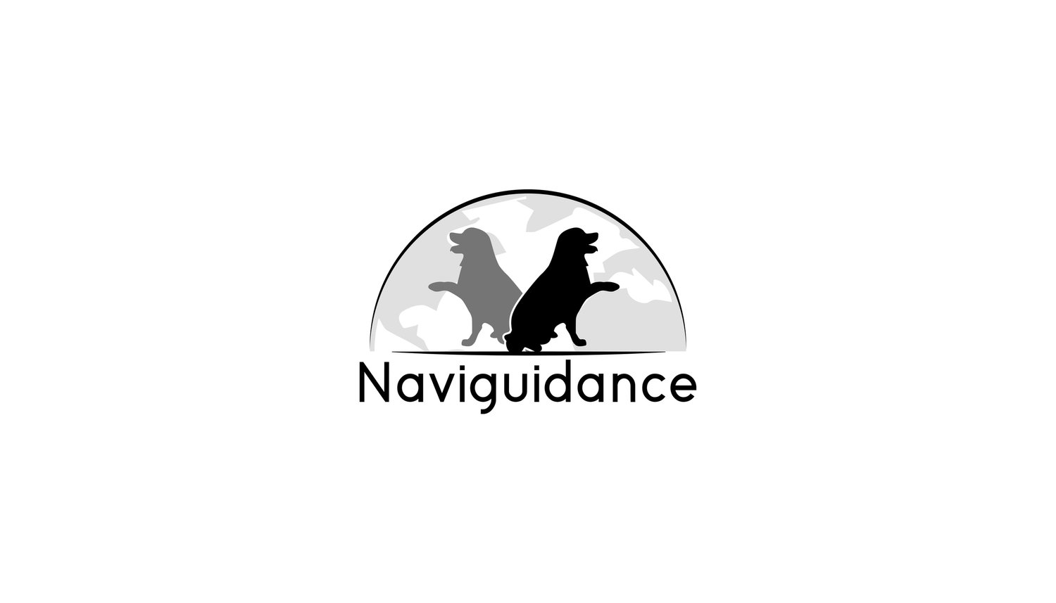 NaviGuidance