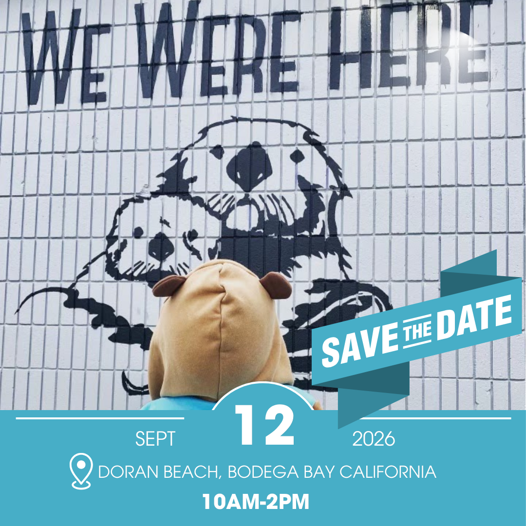 Sea Otters Were Here: Coastal Ecology Pop-Up