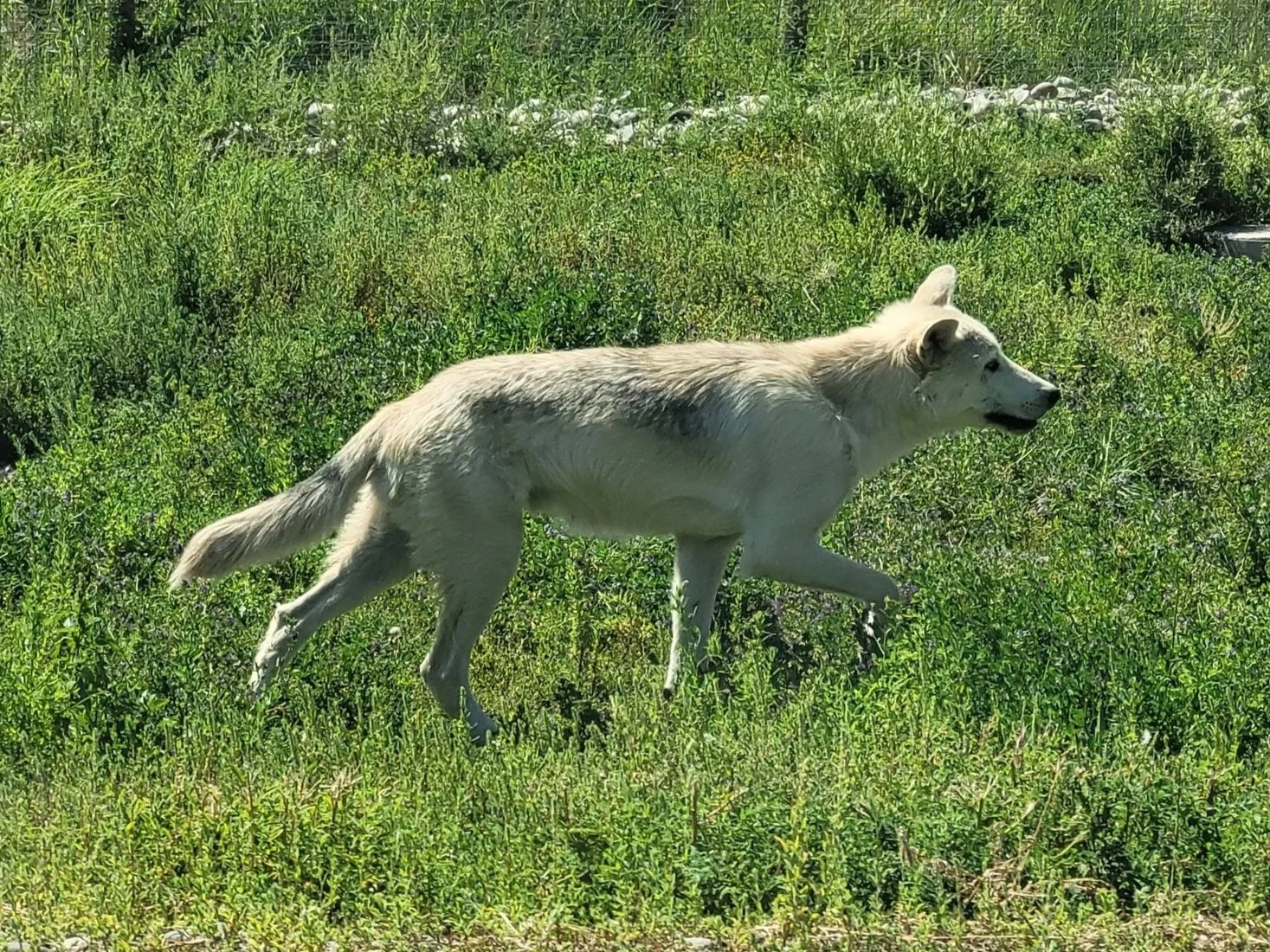 Tough Time, Joy Pending