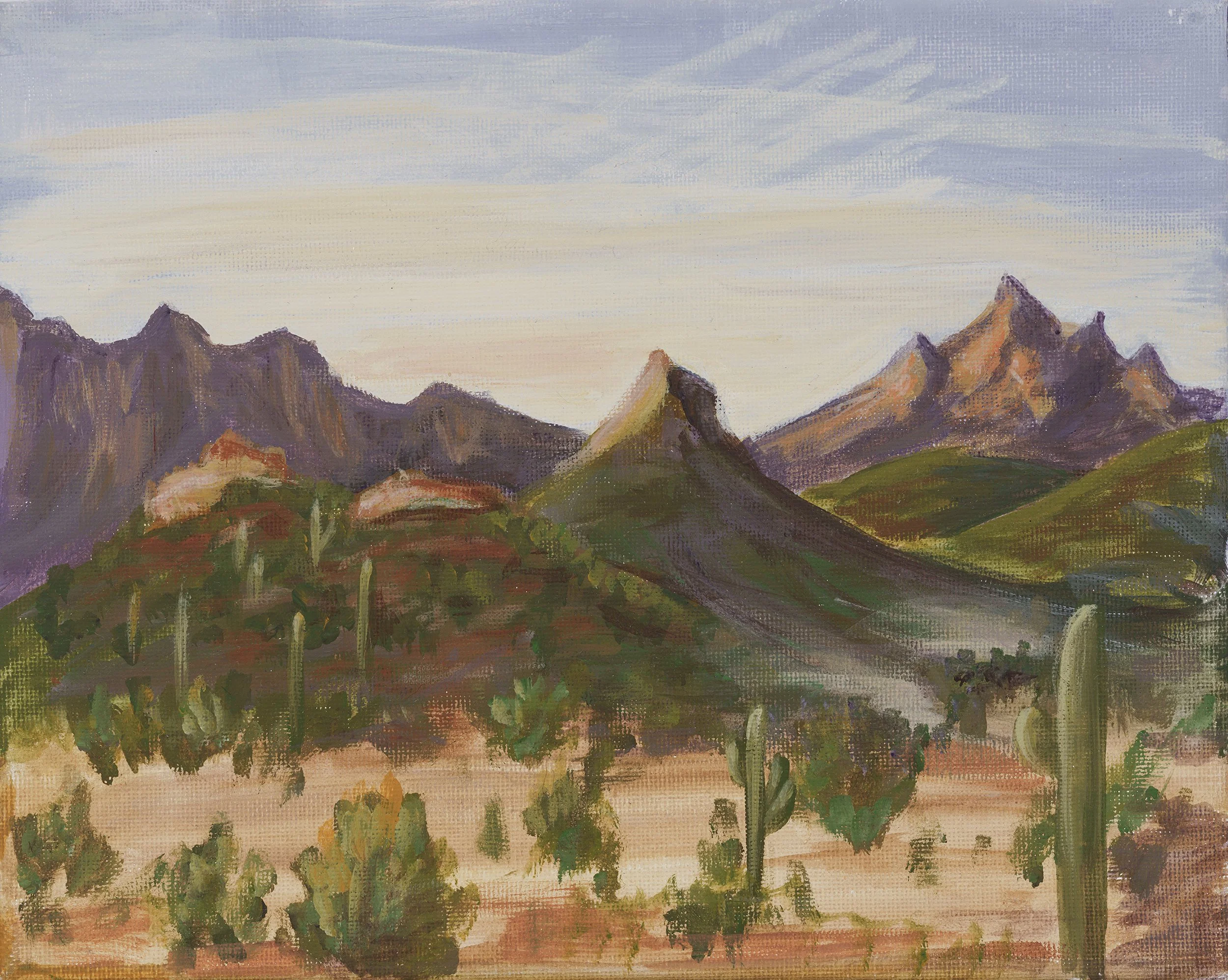 Casa Rosa - 2025 acrylic