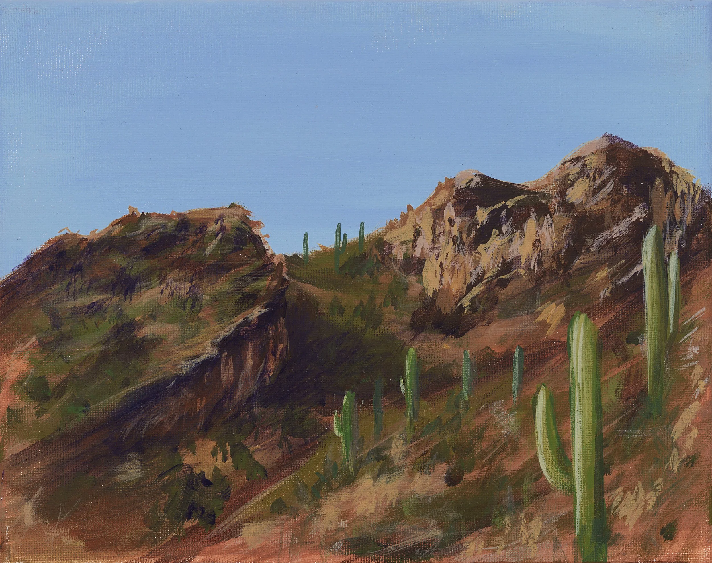 Untitled - 2025 acrylic