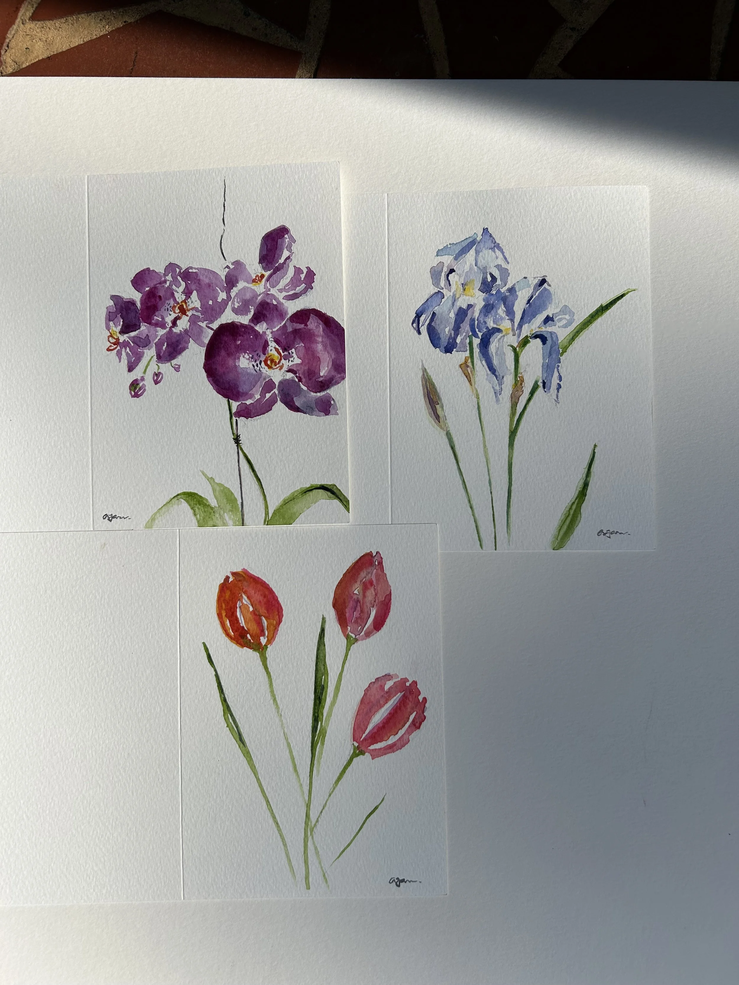 watercolor cards floral all 3.jpeg