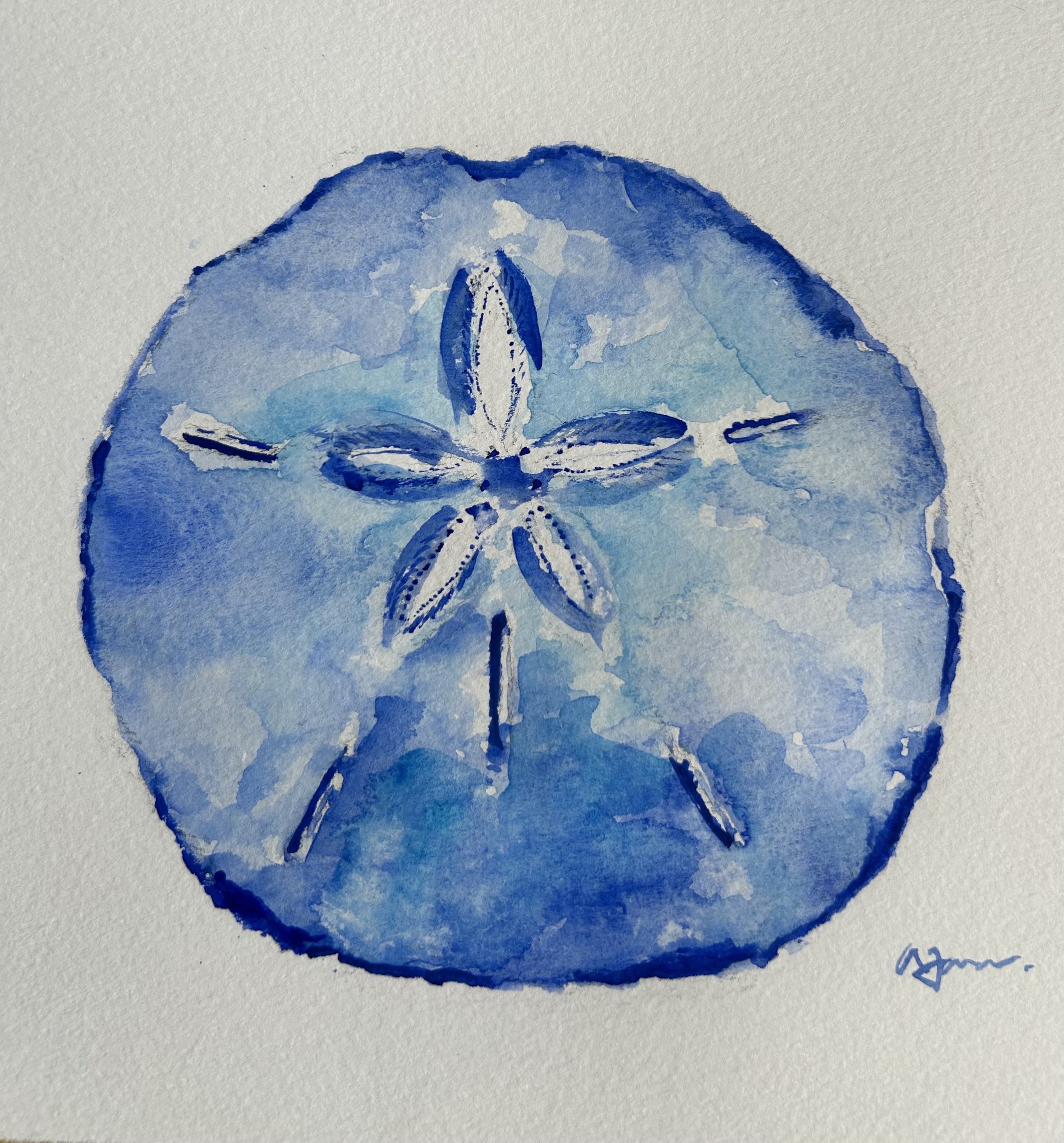 watercolor sand dollar blue.jpg