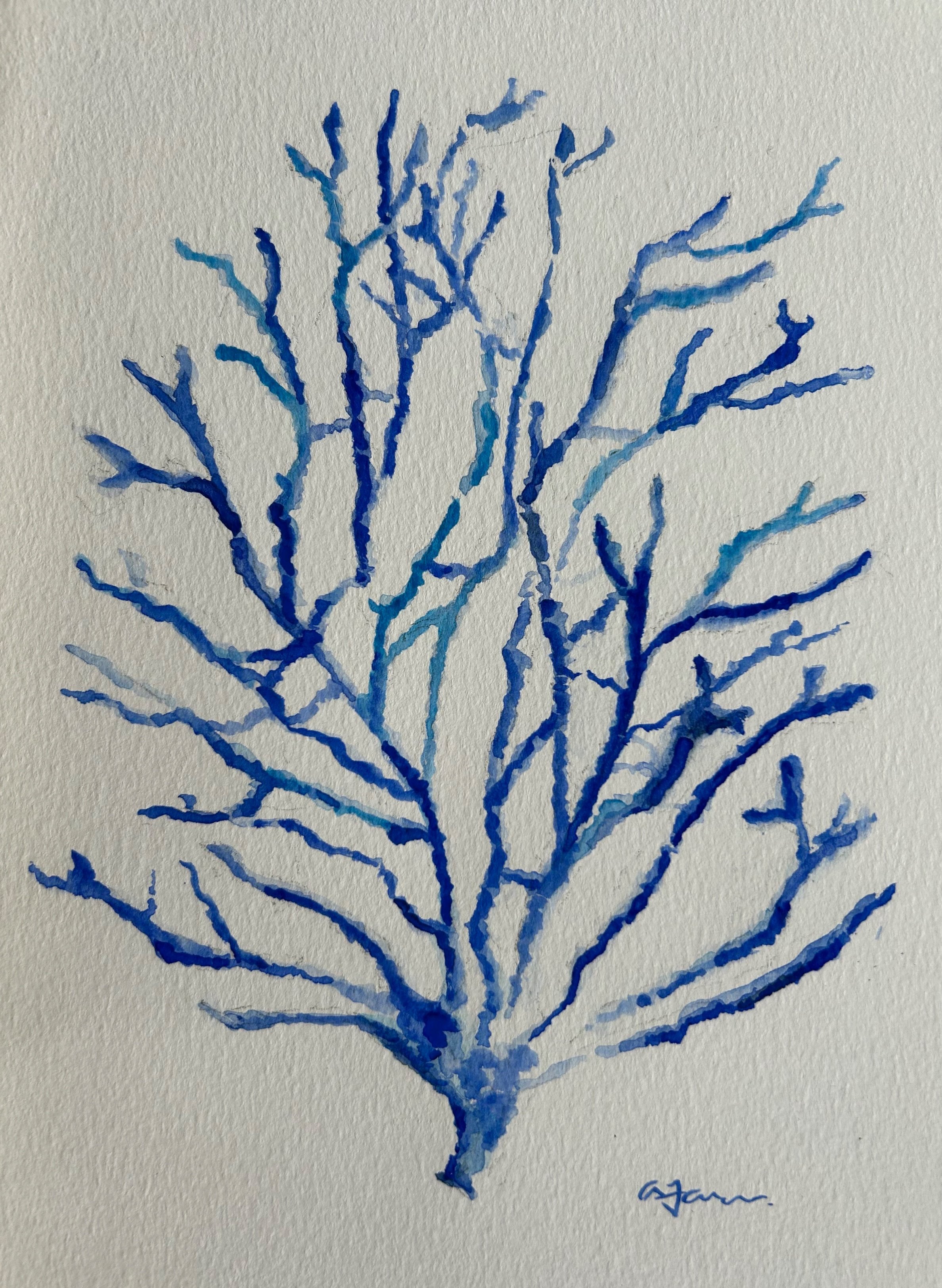 watercolor+coral+blue.jpg
